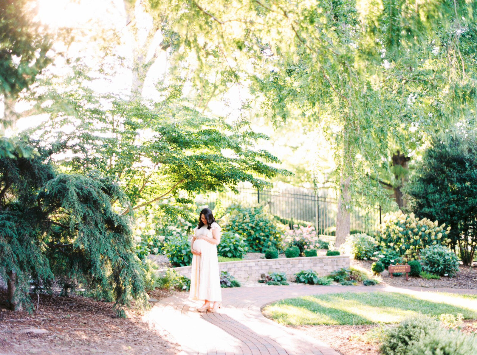 Greenville SC and Asheville NC Wedding Photographer