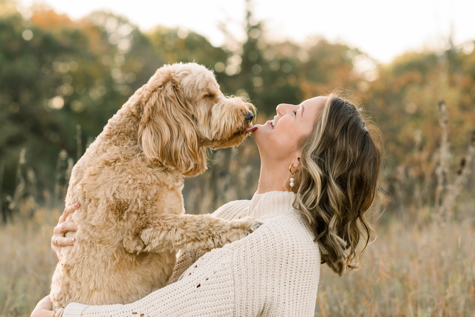Goldendoodle Photo Session-4