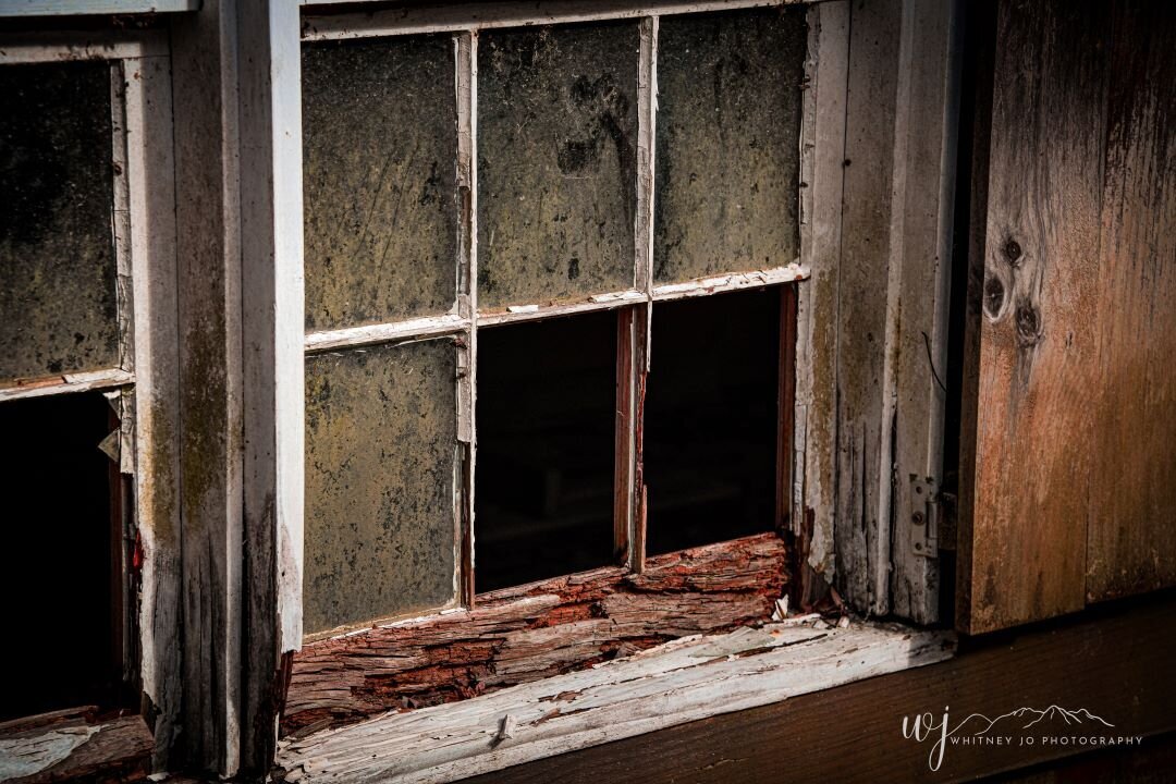 Elkmont Ghost Town