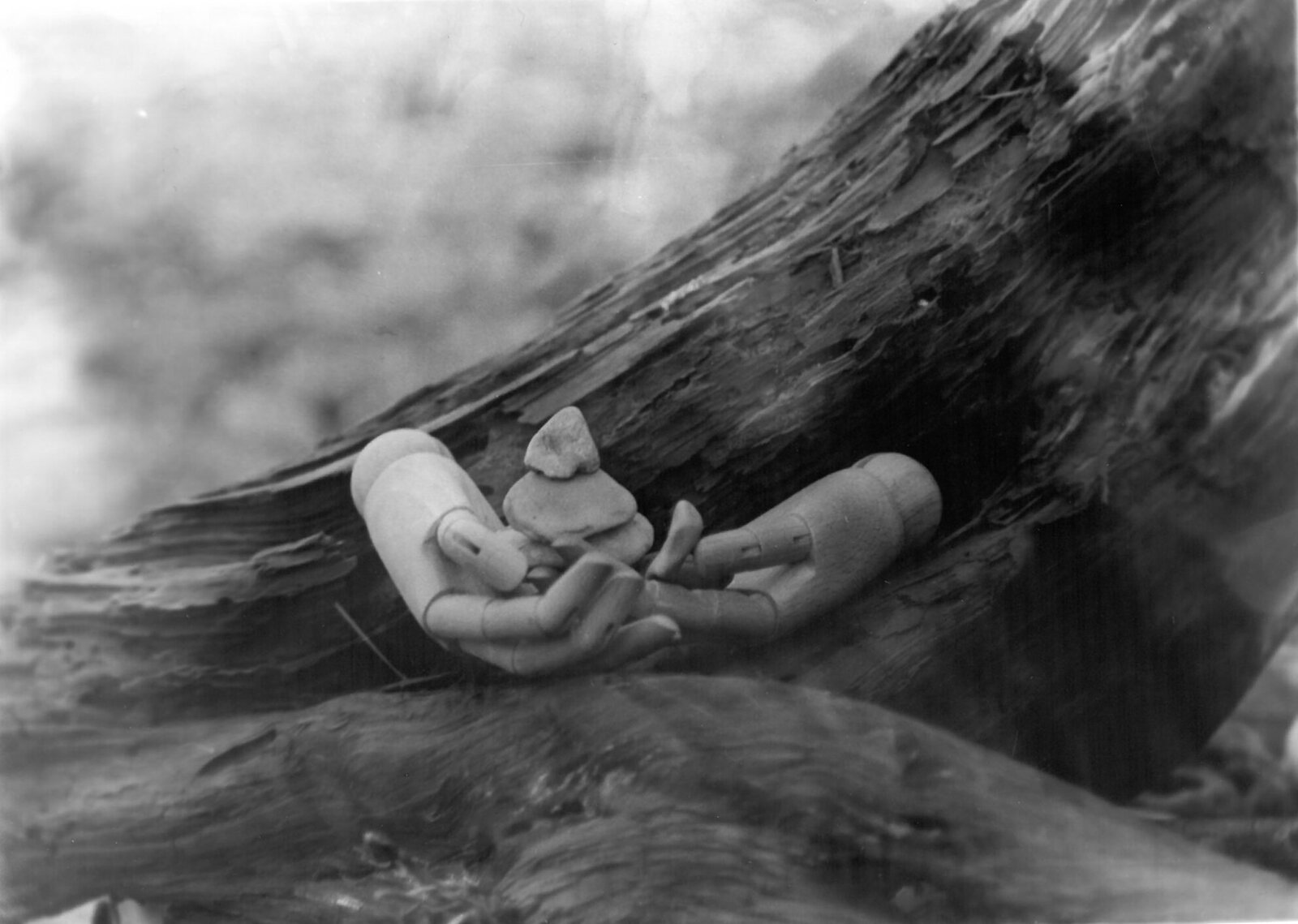 Schwarz-Weiß-Analogfoto von Schätzen auf einem Baumstamm
