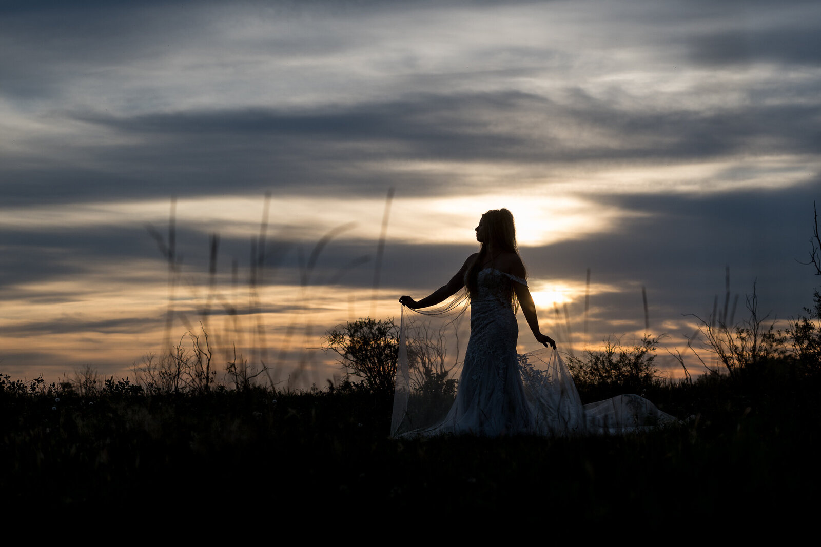 Carla-Lehman-Photography-Tofield-Alberta-Wedding-Photographer-2416