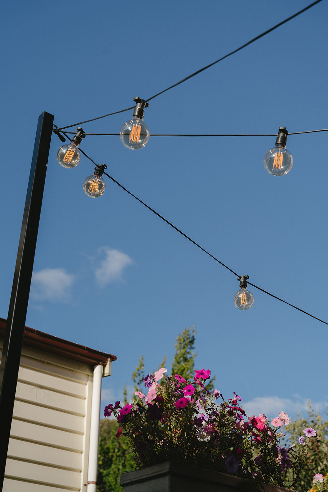 Arrowtown Wedding