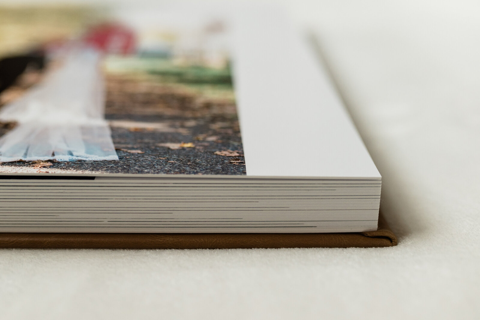 Album Samples (5 of 9)