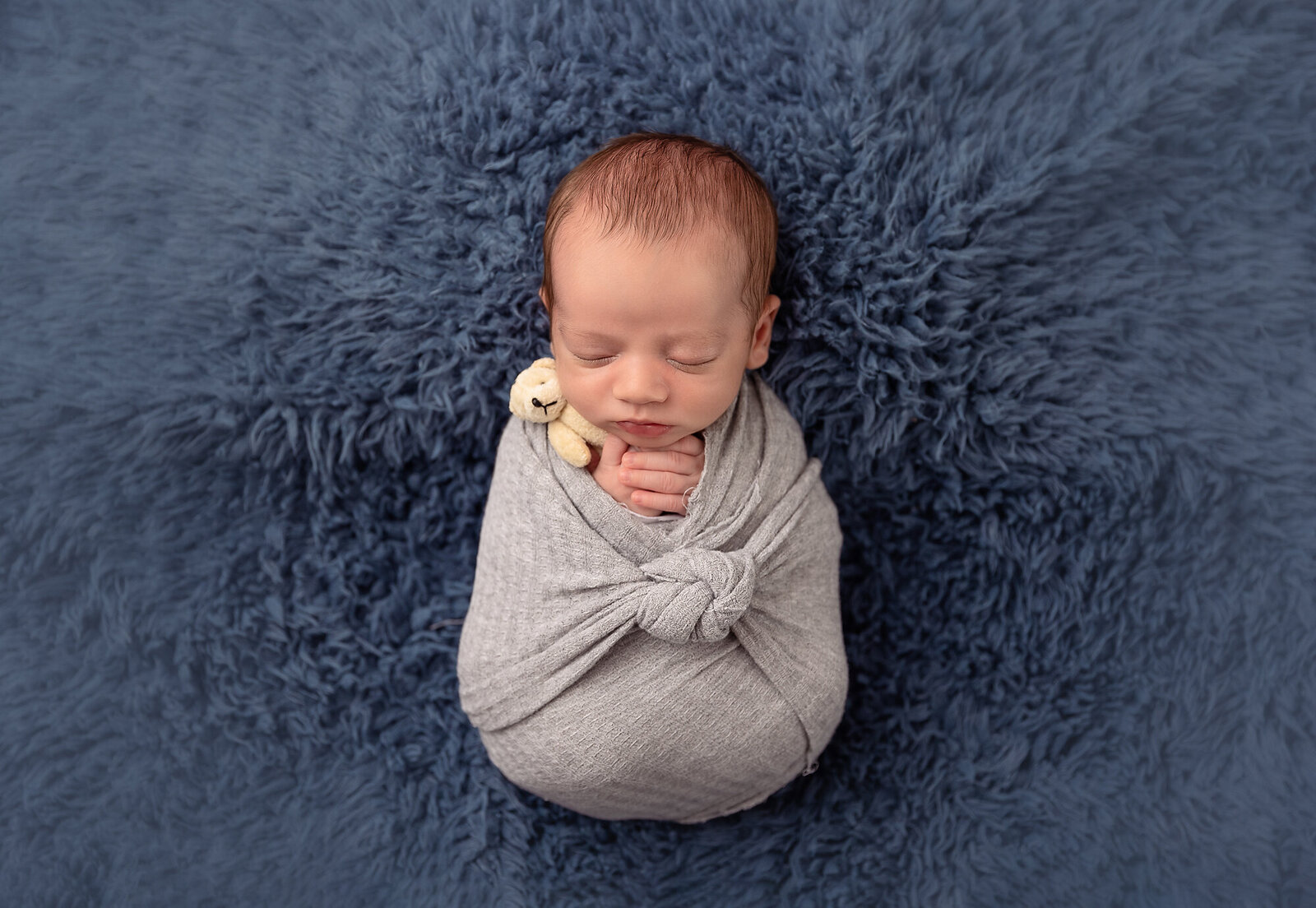 baby in gray swaddle on blue background by Newborn Photography Bucks County PA