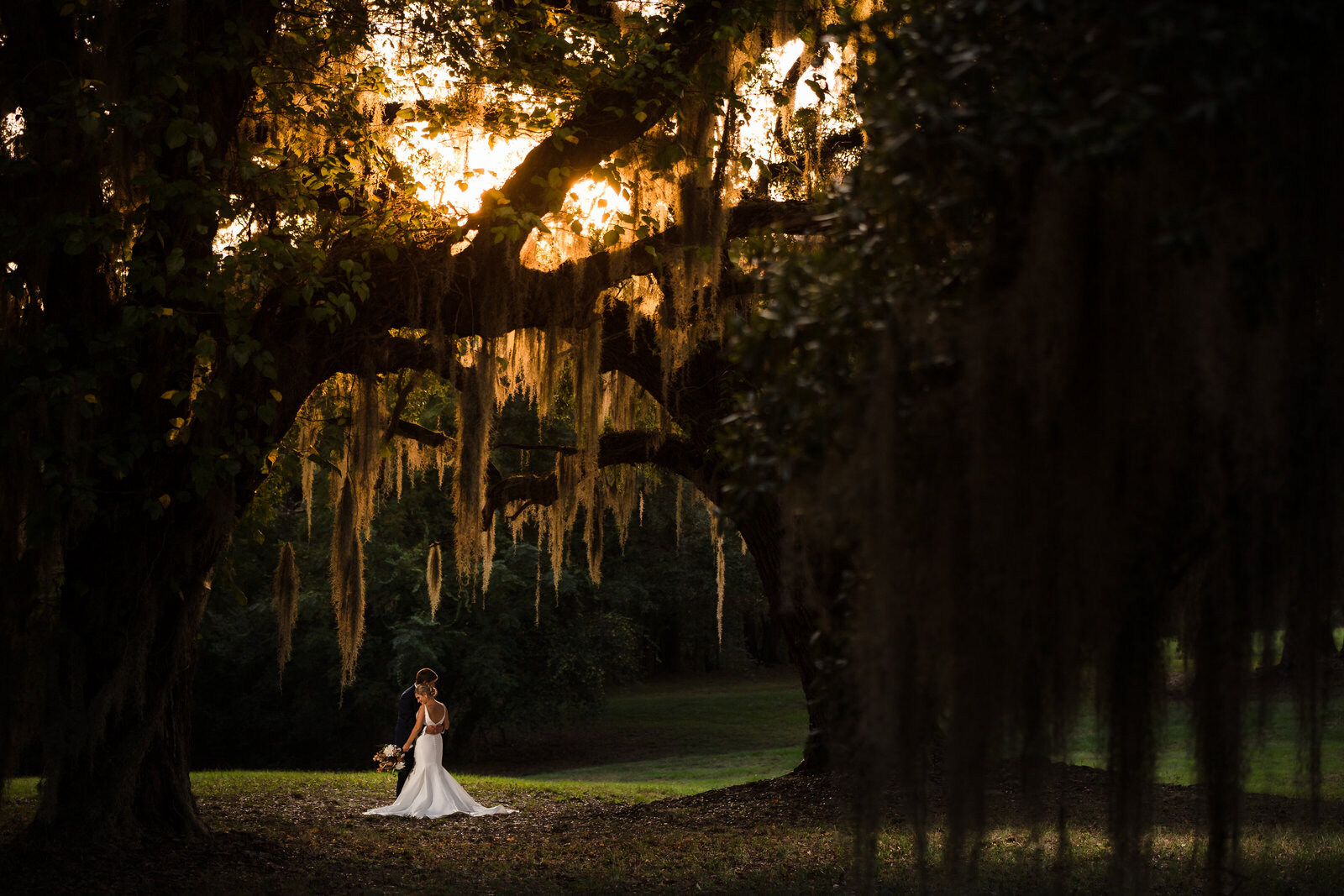 South Carolina Wedding Bride & Groom Portrait Under Live Oaks