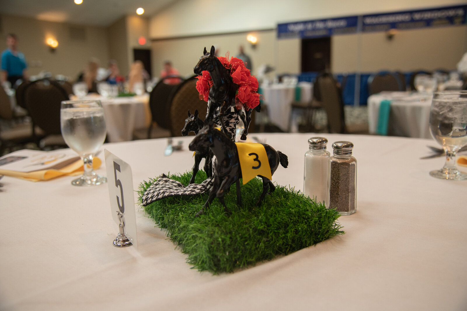 Night at the Races-4