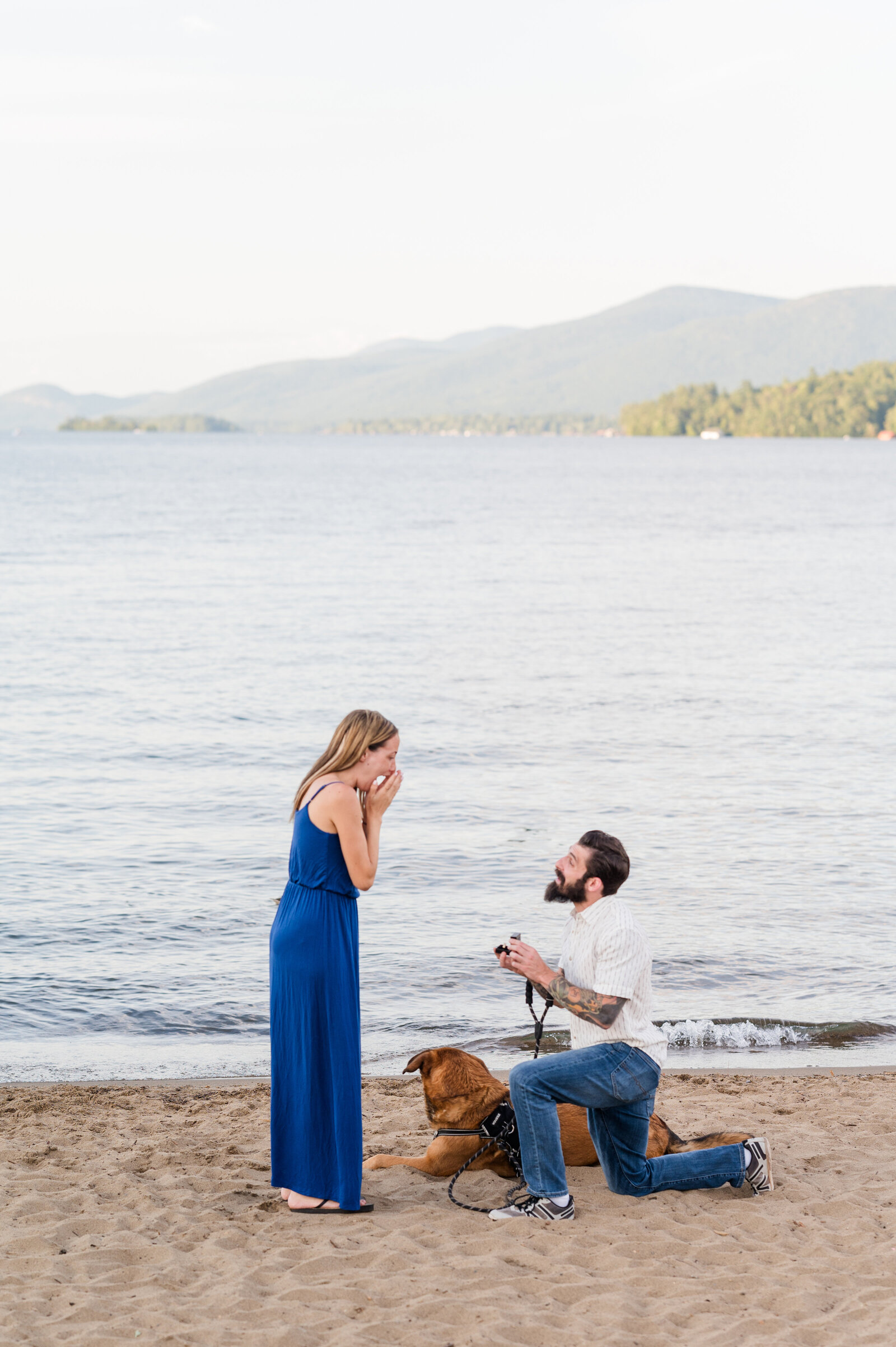 DAlessandroPropose-5