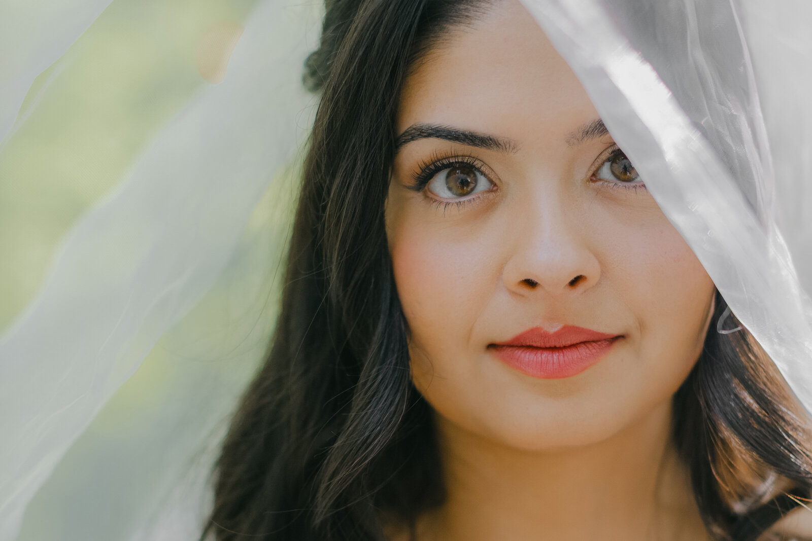 Close-up editorial bridal portrait of a modern bride beneath a flowing veil, styled with soft romantic details and natural light in South Carolina.