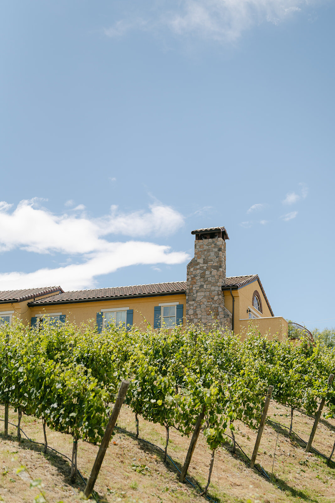 sirensong_lakechelan_wedding-L-B-3