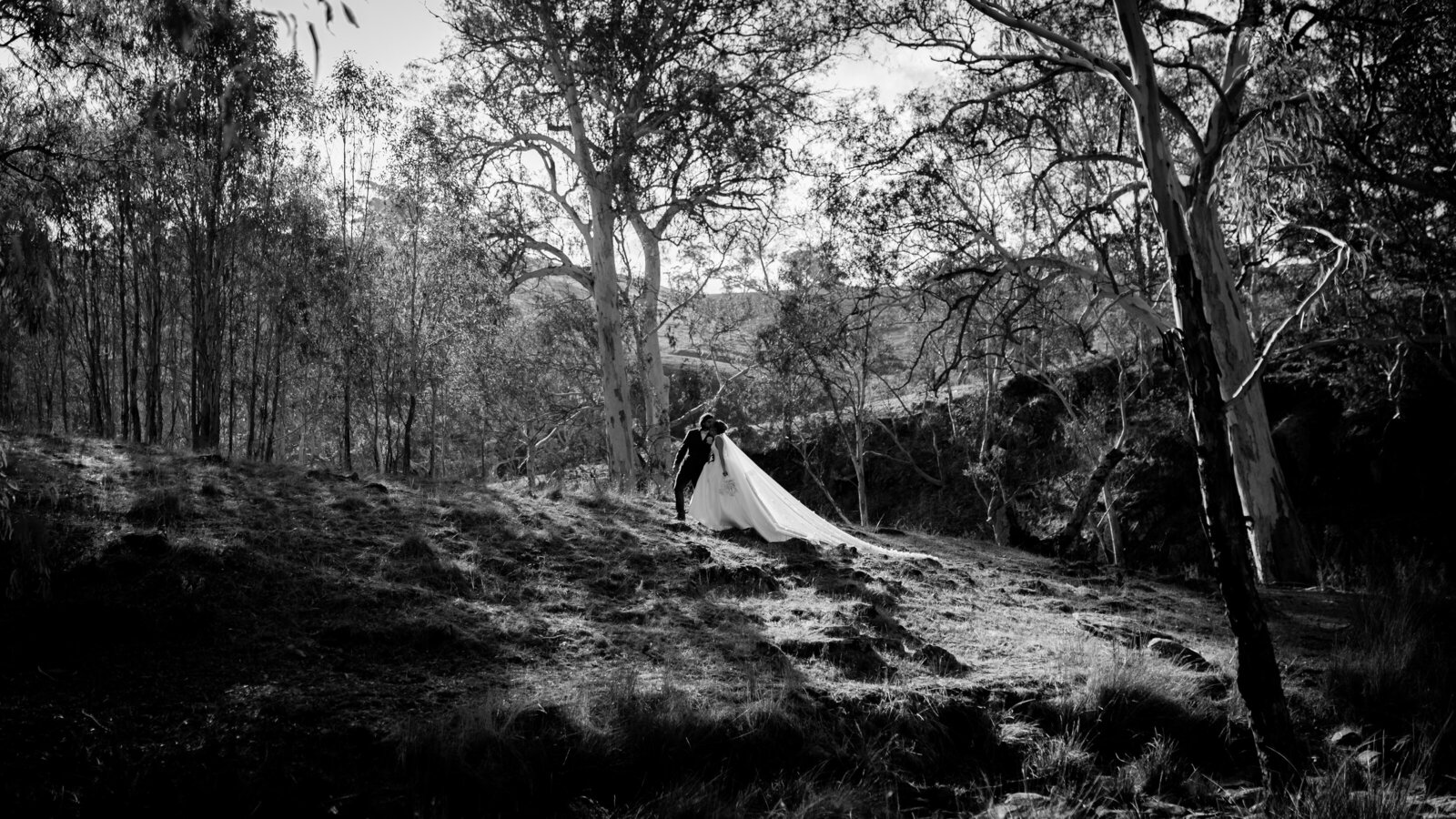 250405-Shelby-Alastair-Rexvil-Photography-Adelaide-Wedding-Photographer-561