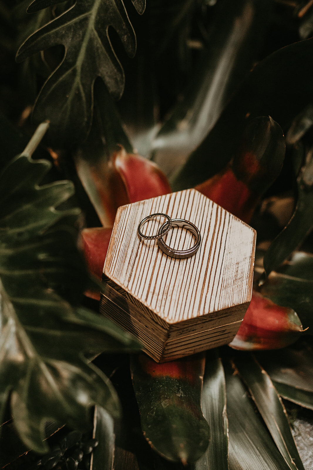 jamie-andrew-rodriguez-wedding-40