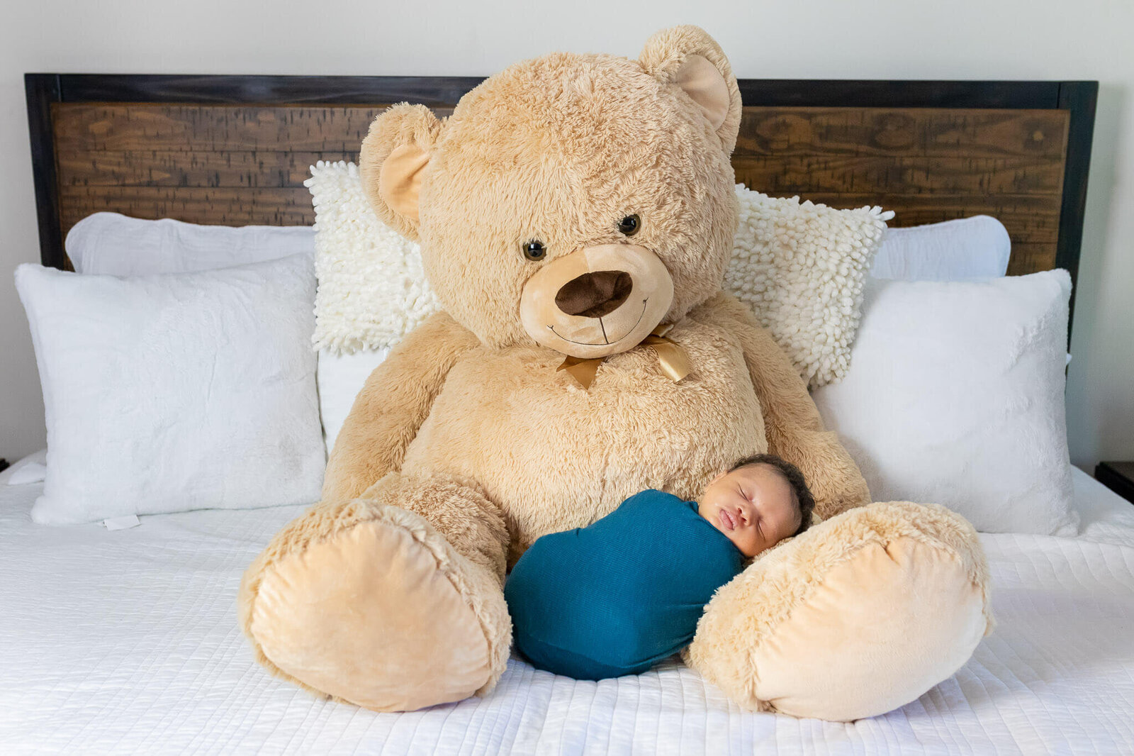 A Woodbridge newborn session of a baby wrapped in blue posed on a giant teddy bear.
