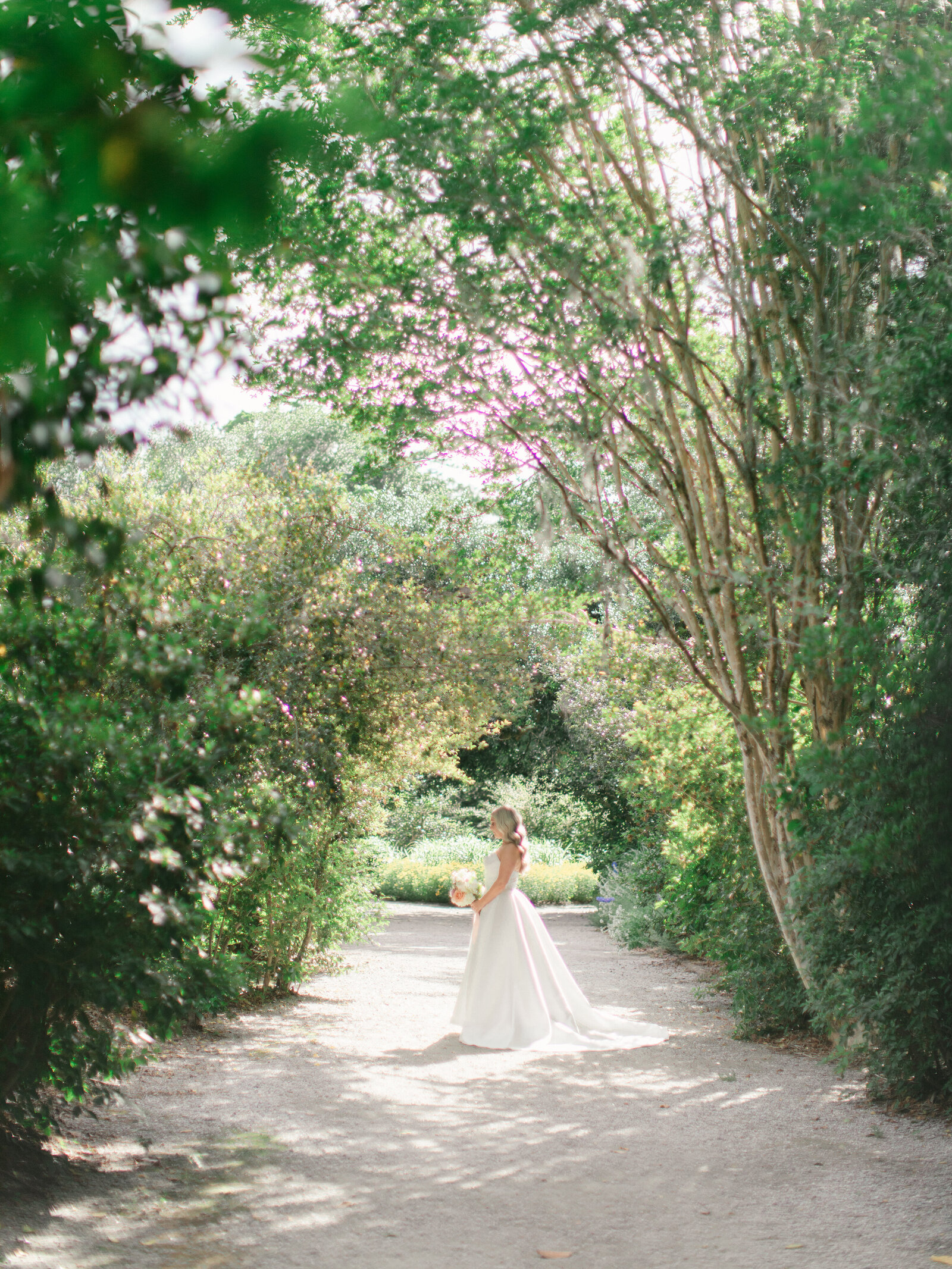 38-torianna-brooke-portraiture-magnolia-gardens-charleston-wedding