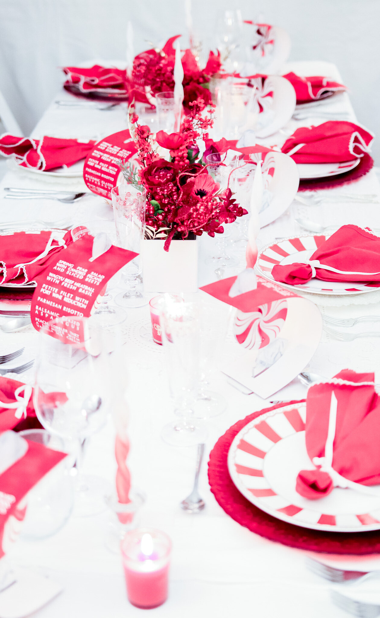 NYC NJ NEW YORK NEW JERSEY CHRISTMMAS DECORATOR  (14)