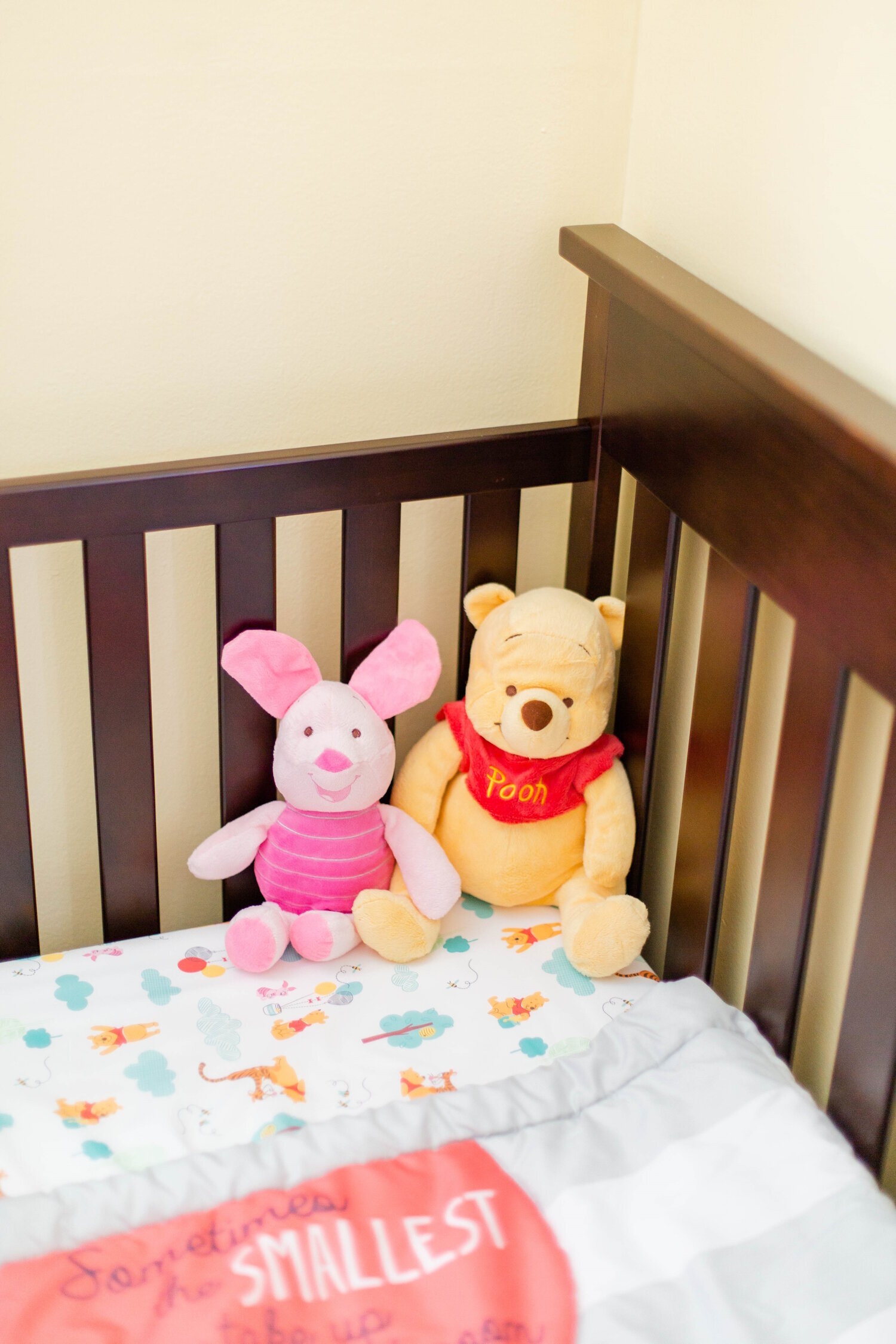 20190704_SeltzerNewborn-00-WEBSITE-002
