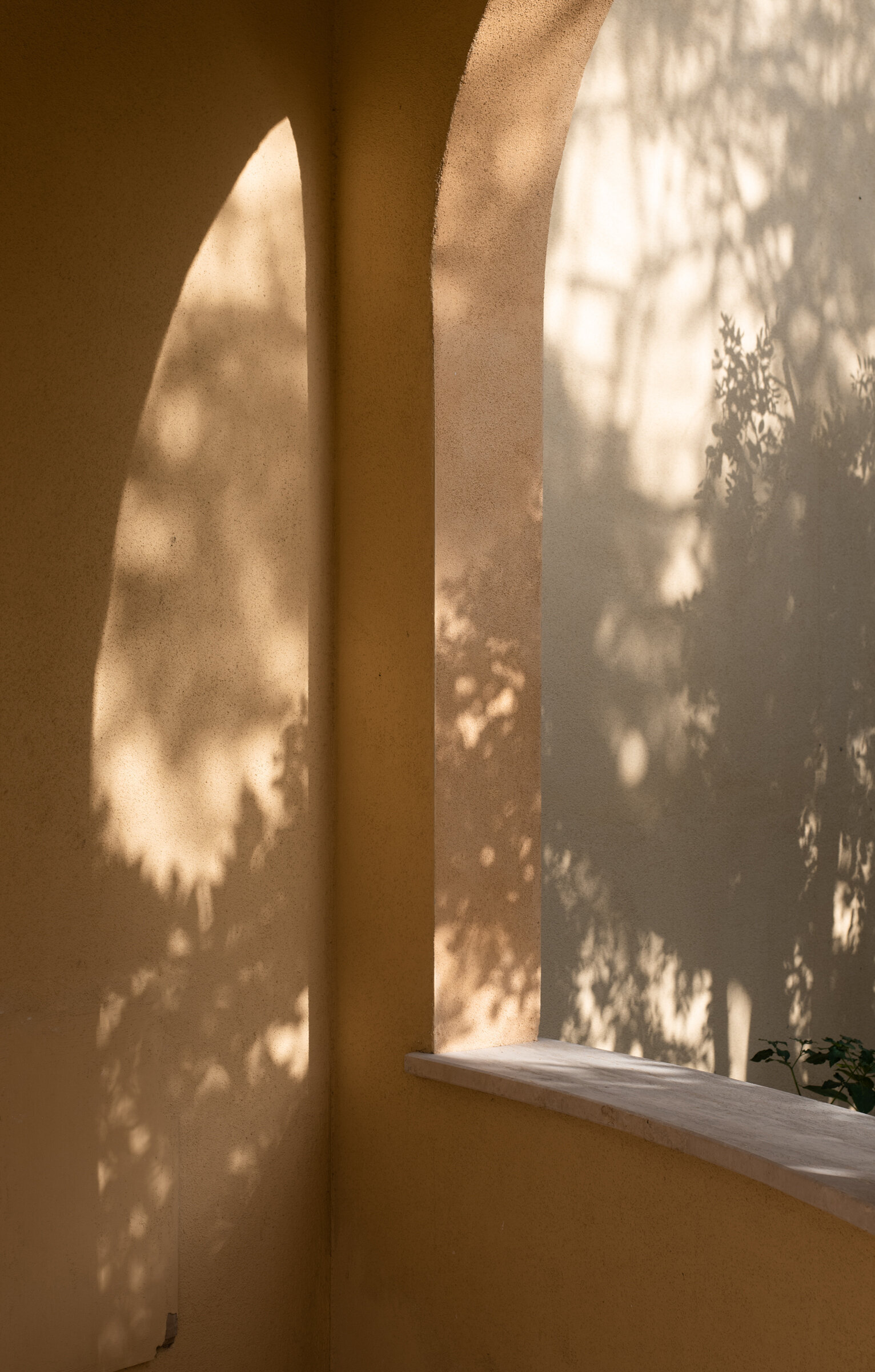 haute-stock-photography-subscription-sun-drenched-collection-final-3