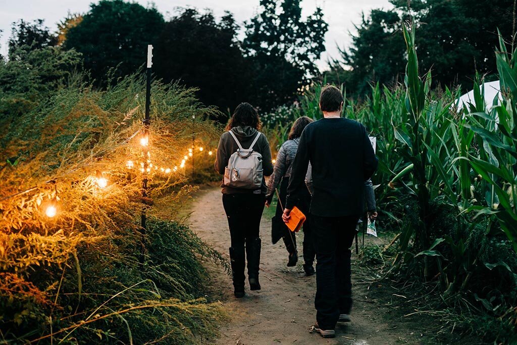 People walkiing on a lit path at a corn maze