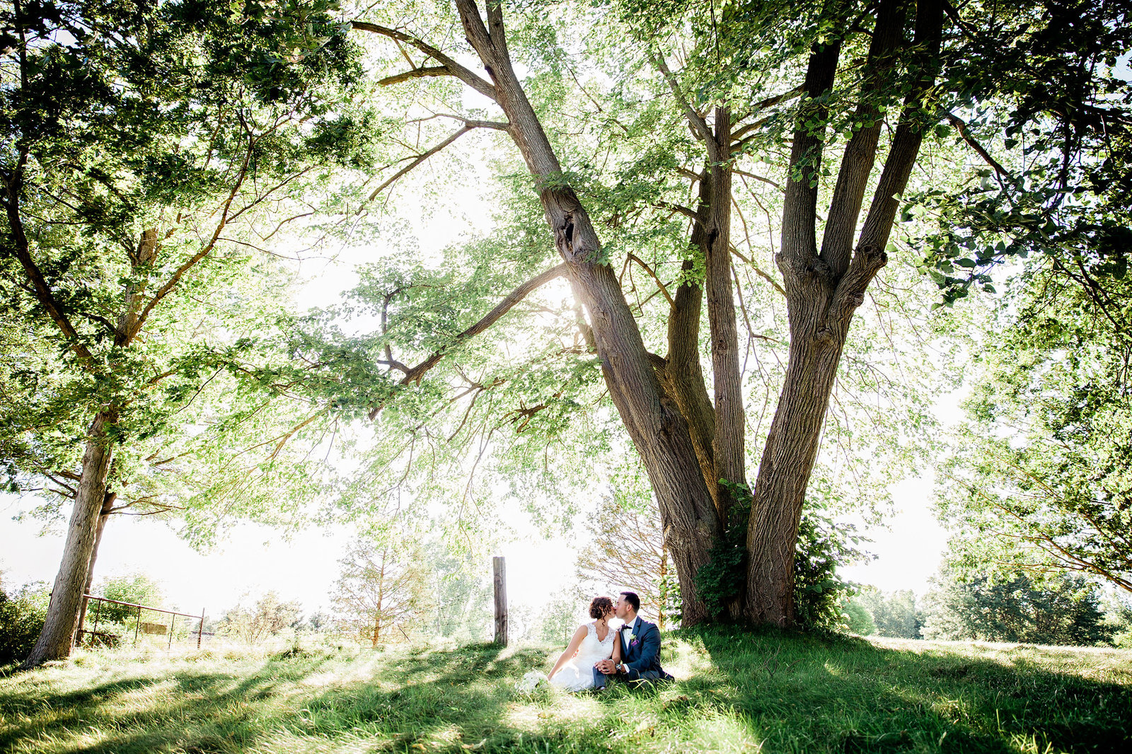 Bride and groom in field under tree