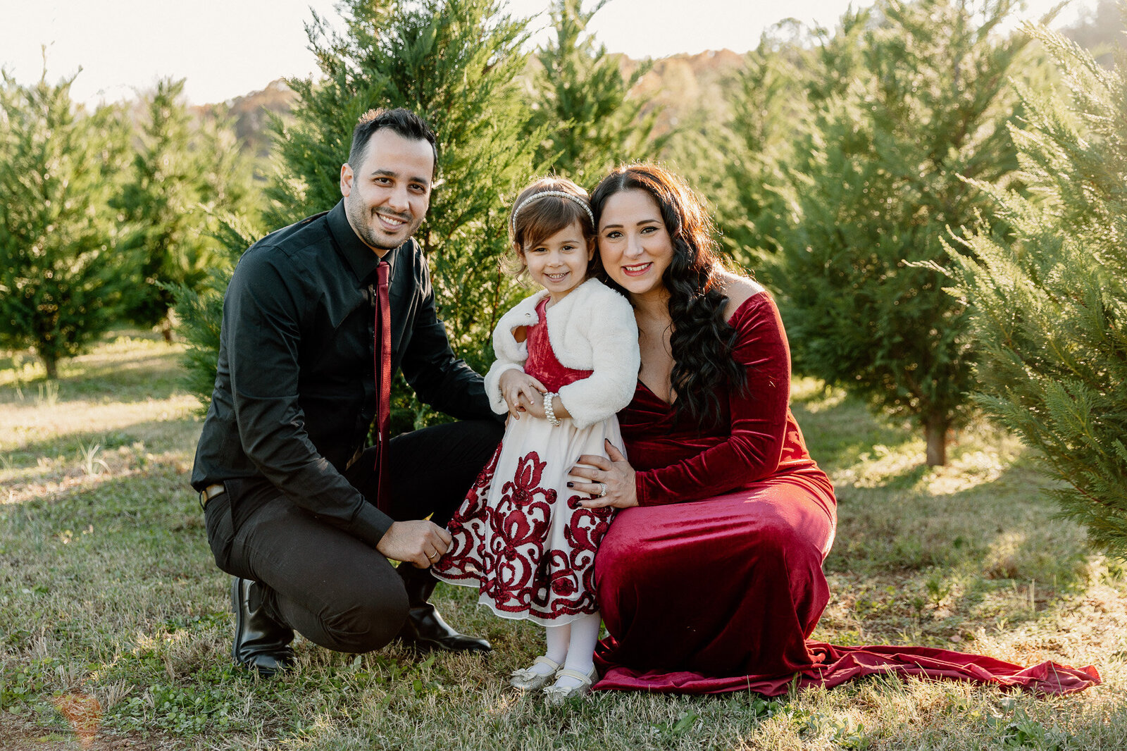 christmas-tree-farm-maternity-photos (3)