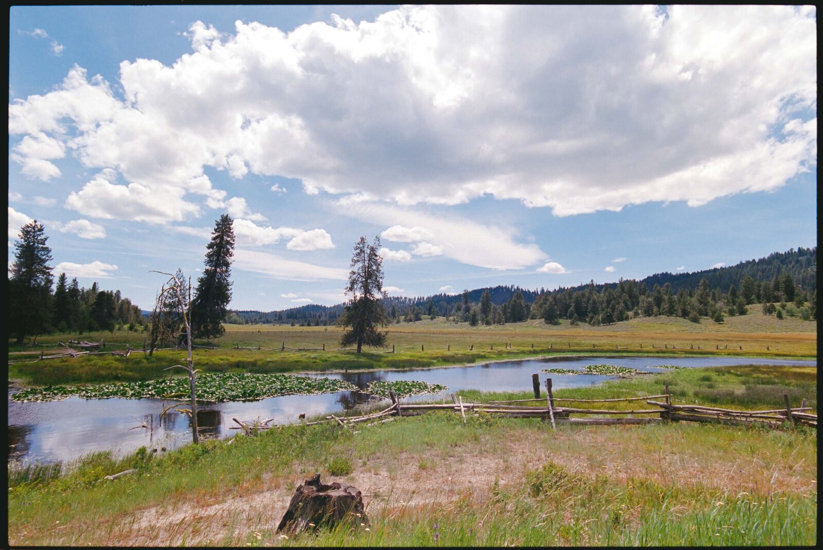Jess-Buckley-Wedding-Photo-Idaho-Ranch-24