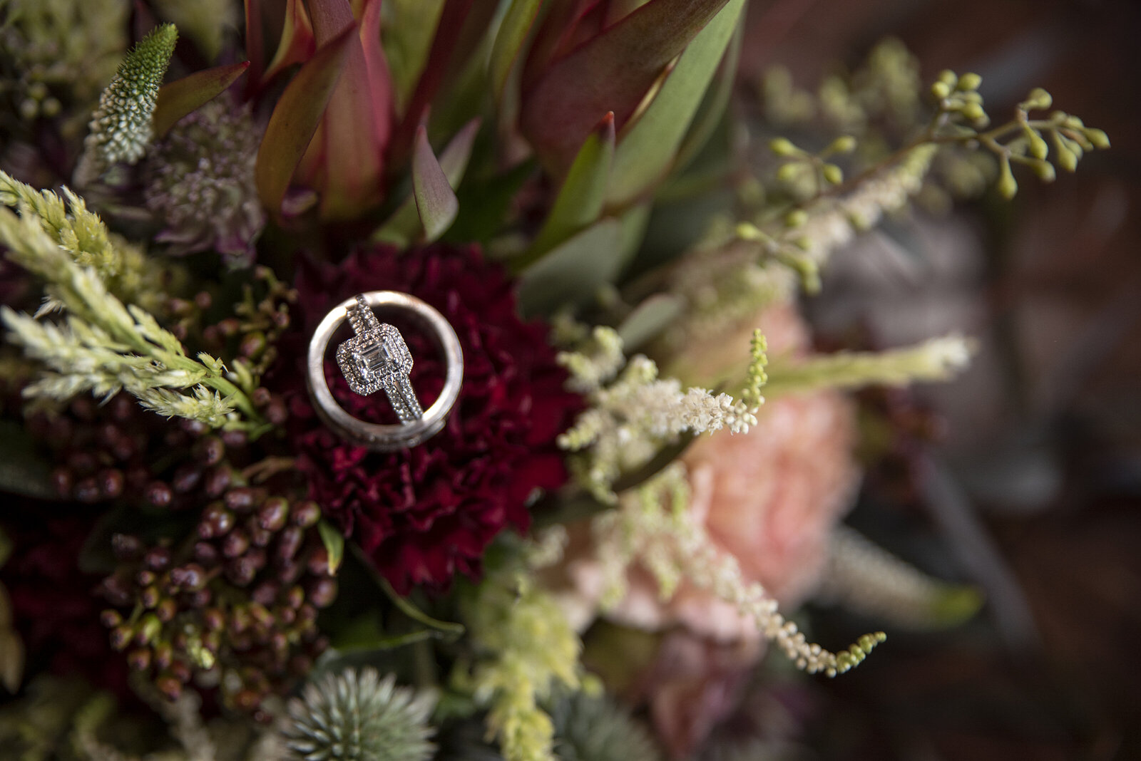 OCF Collection 186