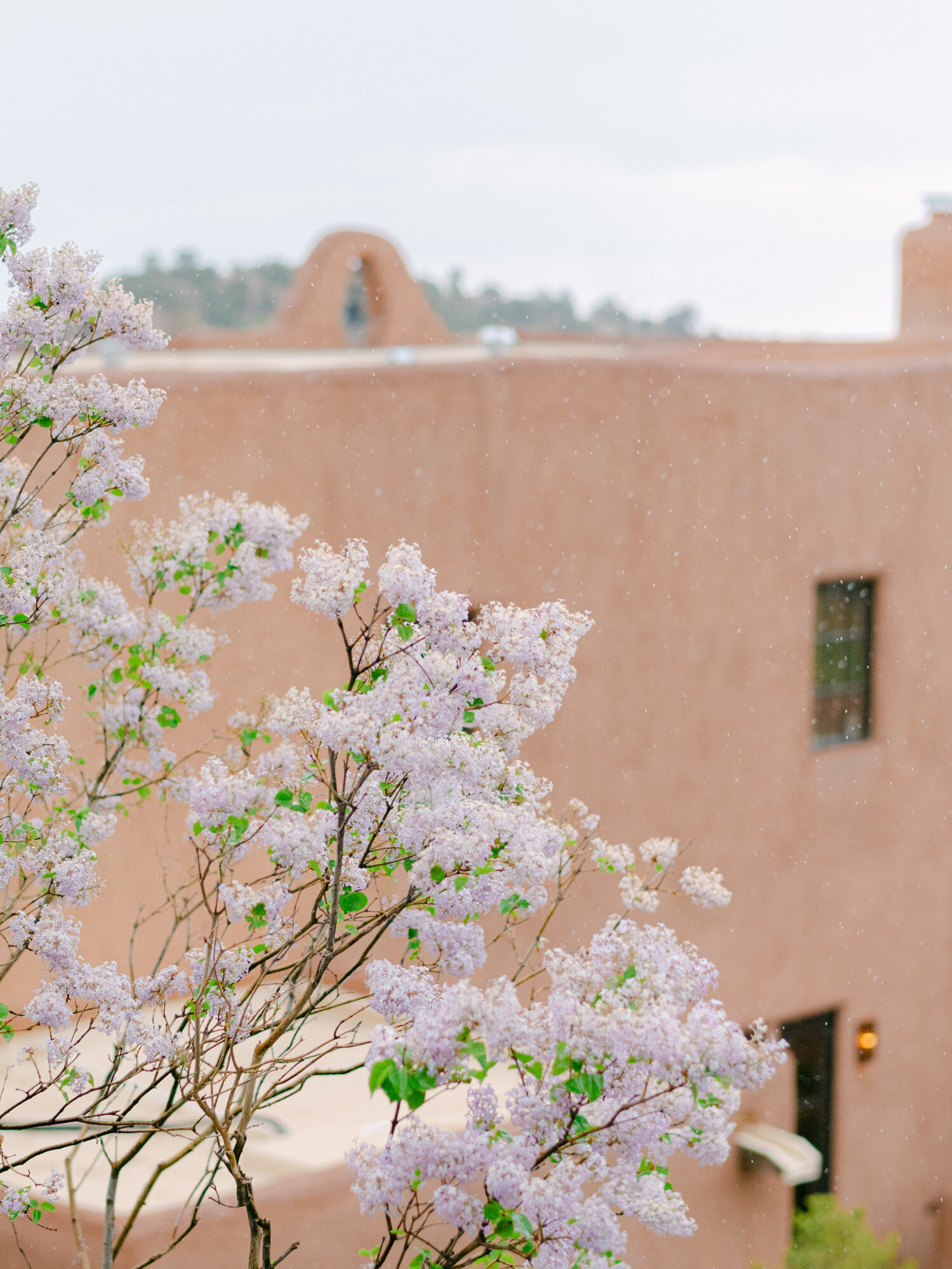 Bishops-Lodge-Santa-Fe-New-Mexico-Wedding-Coryn-Kiefer-Photography-37