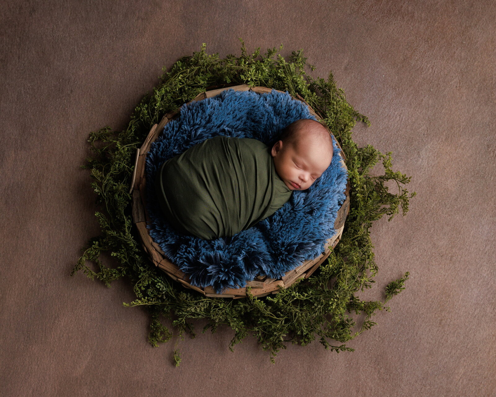 Anderson-DimensionsPhotography-4044-1 - Copy