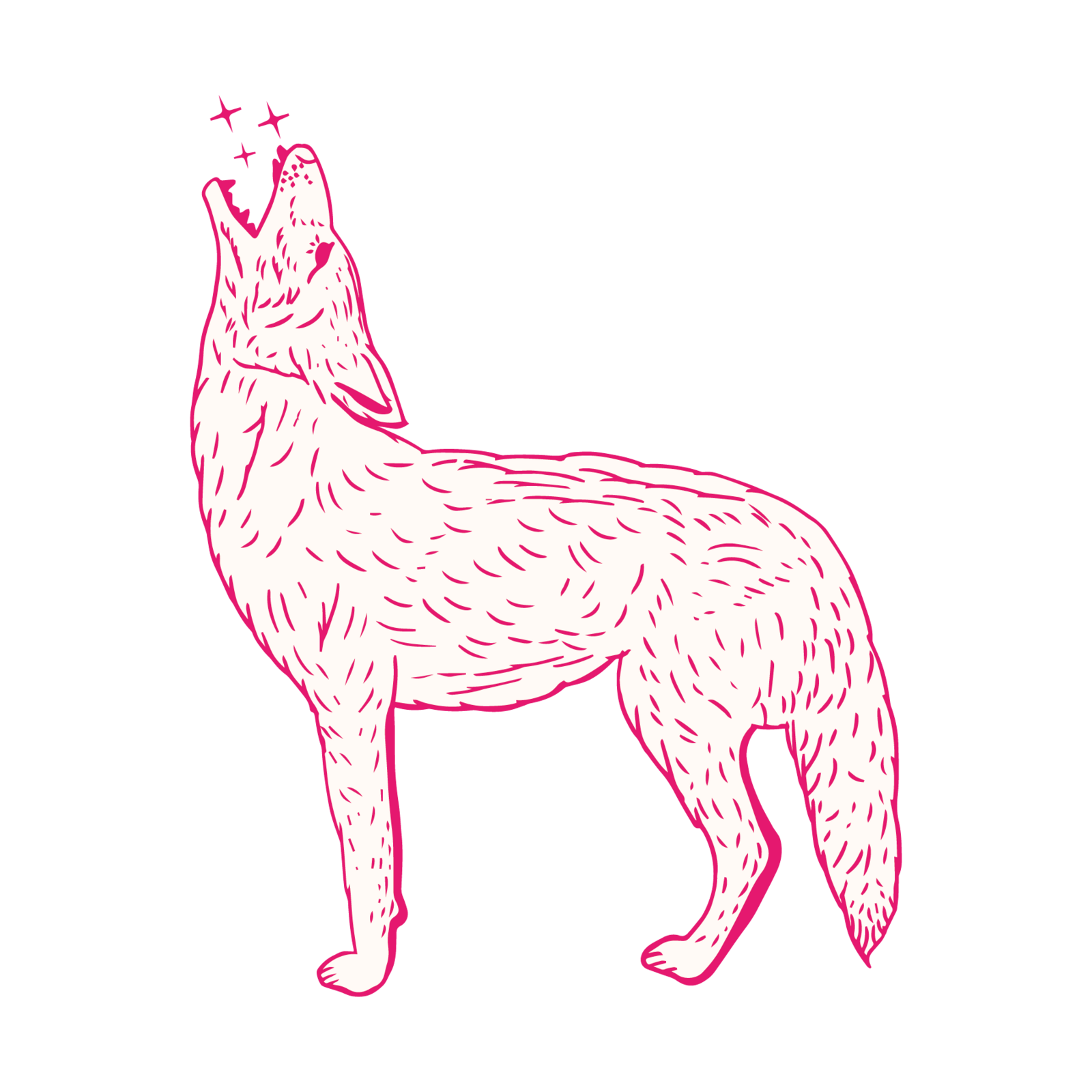 6x6 The 'Yote-12