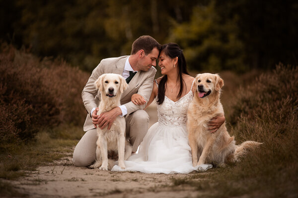 Jullie gaan trouwen en daar horen de honden bij. Als hondenfotograaf sta ik klaar om jullie huwelijk te fotograferen op een unieke manier