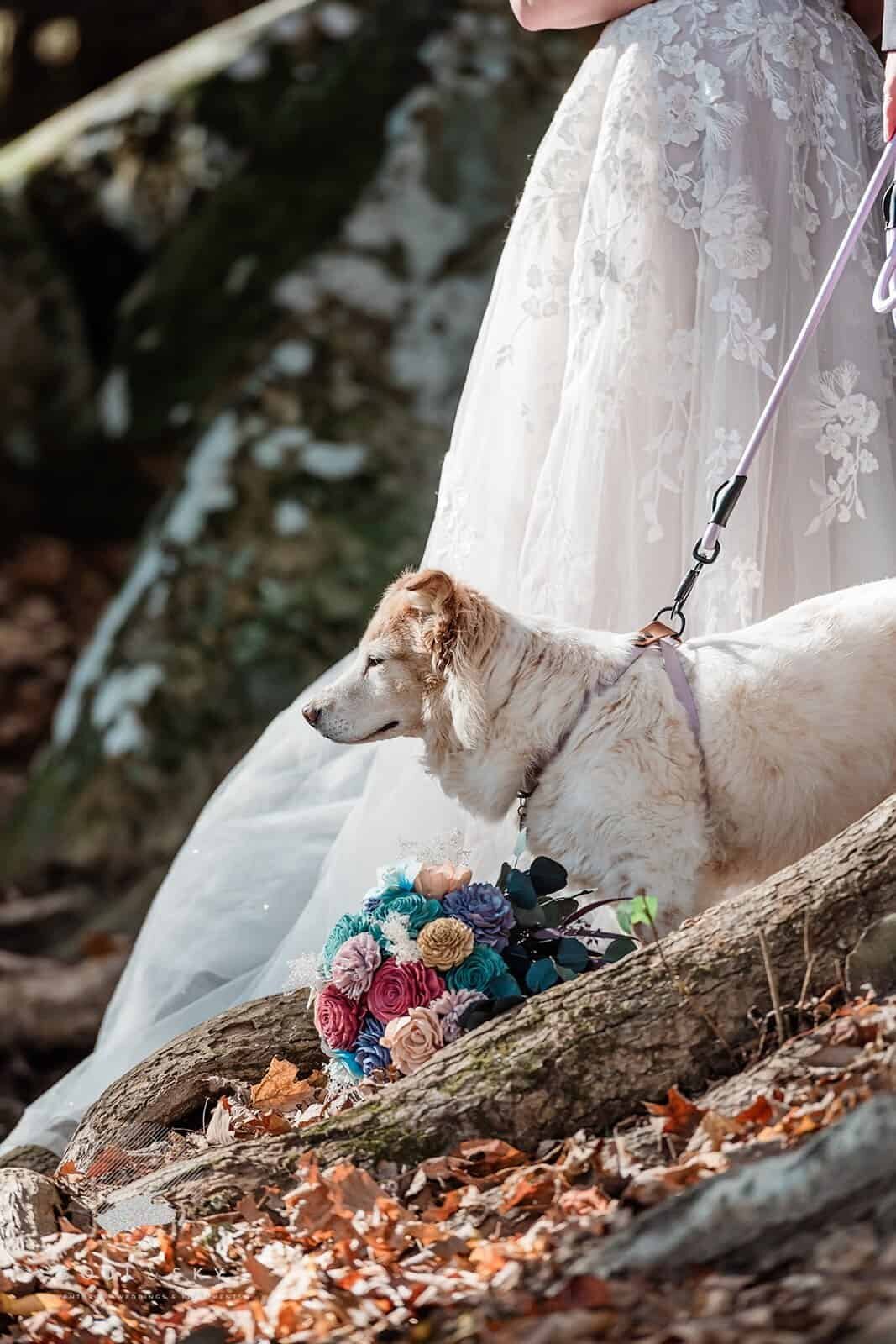 luxury-destination-elopement-photographer-Soul-and-Sky-Weddings-10