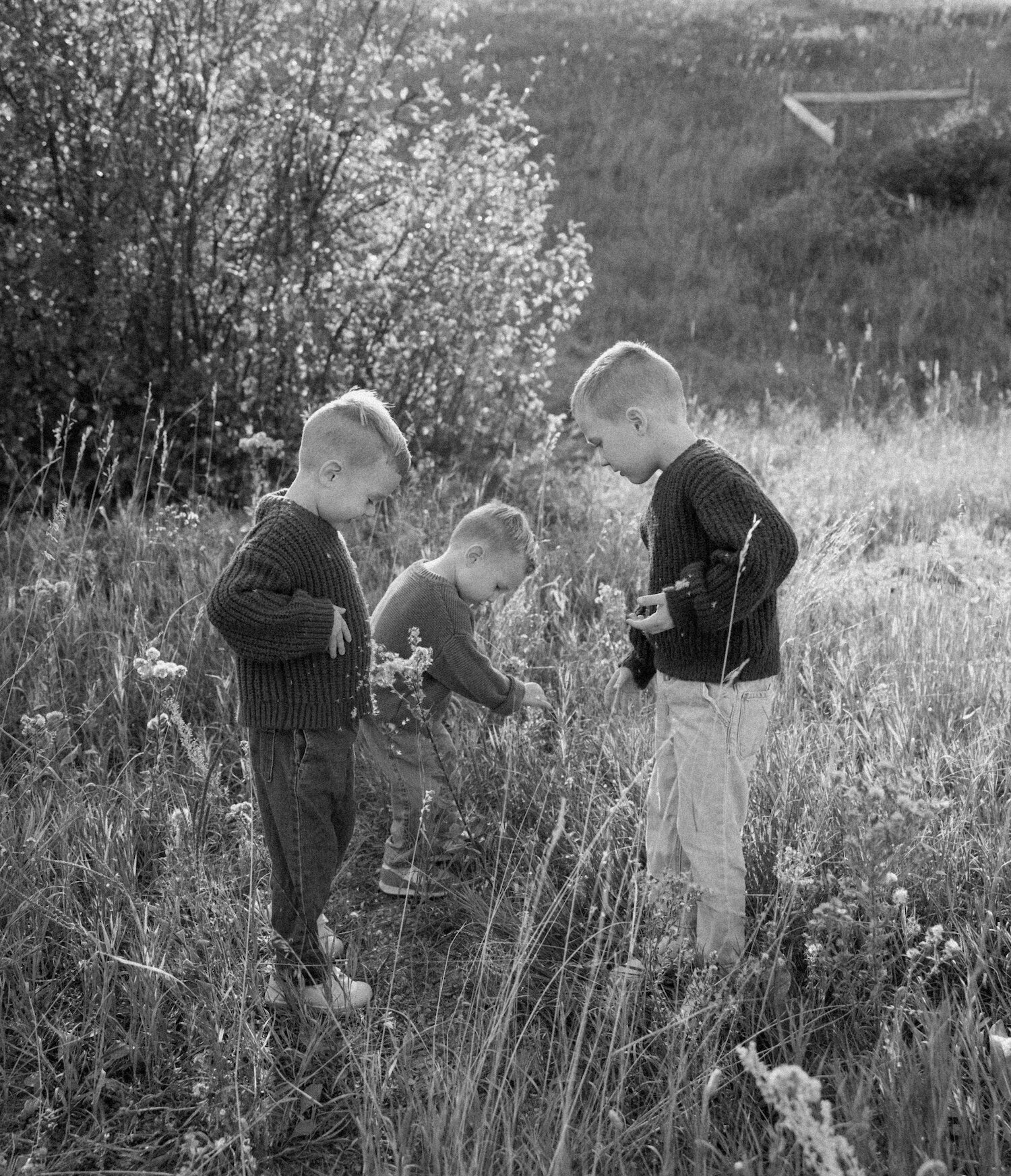 married woman and man photo