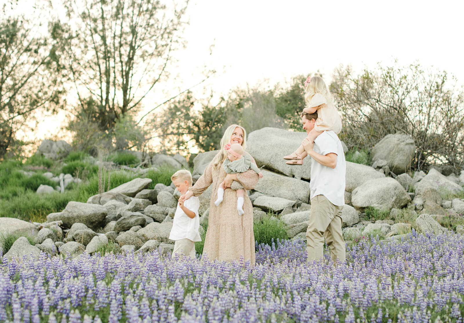 A family walking through a Lavender field in San Francisco Bay Area