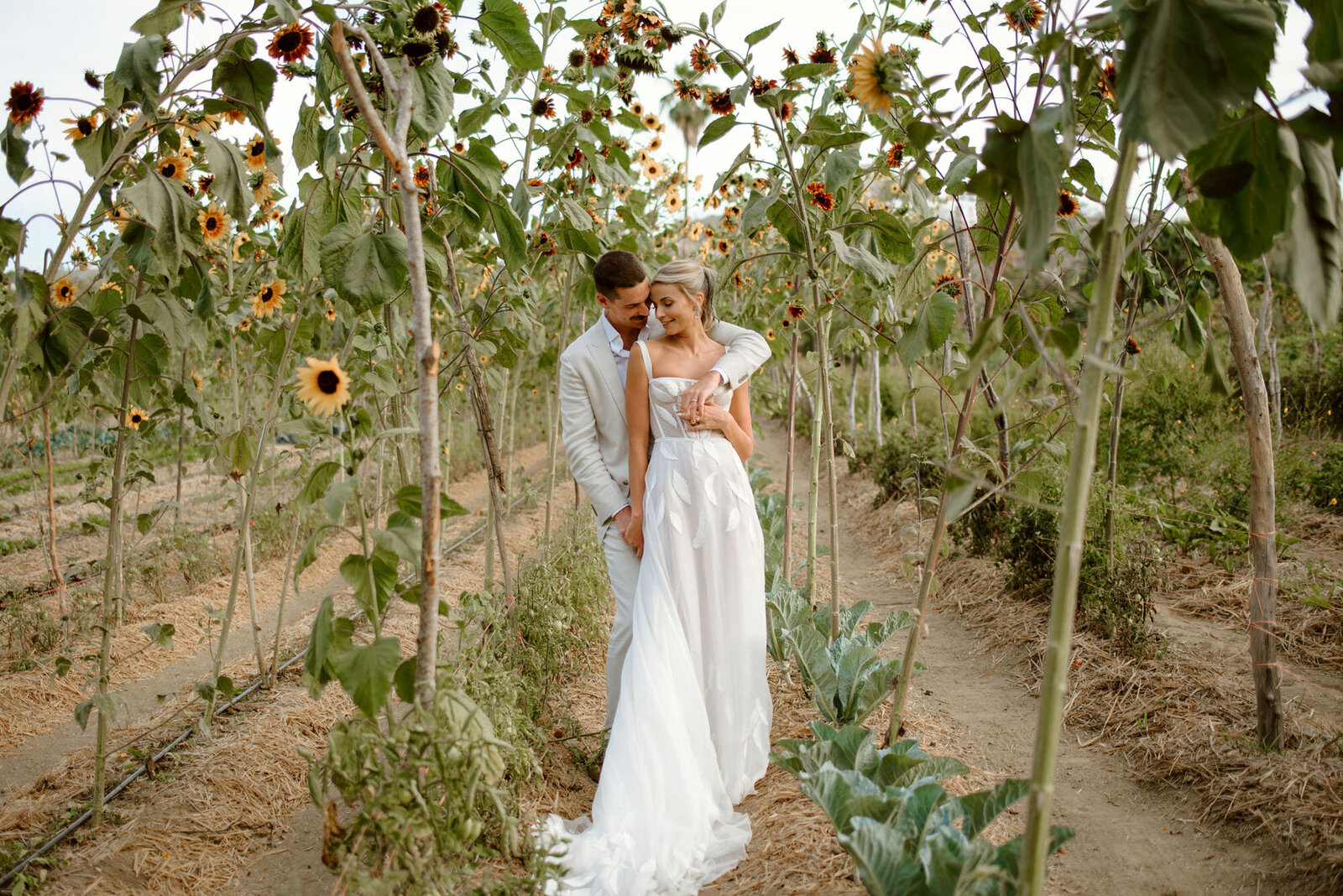 Verity+Zach Flora Farms Wedding-539