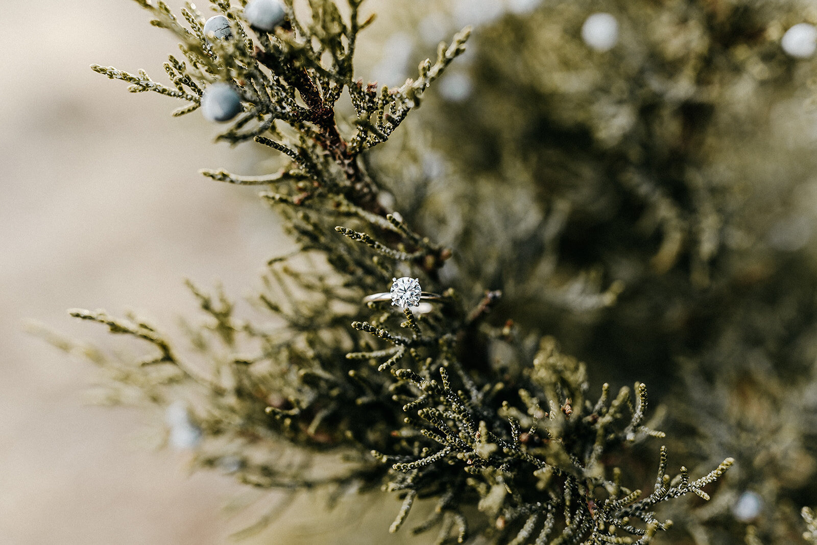 MarinaandCesar_engagement-18