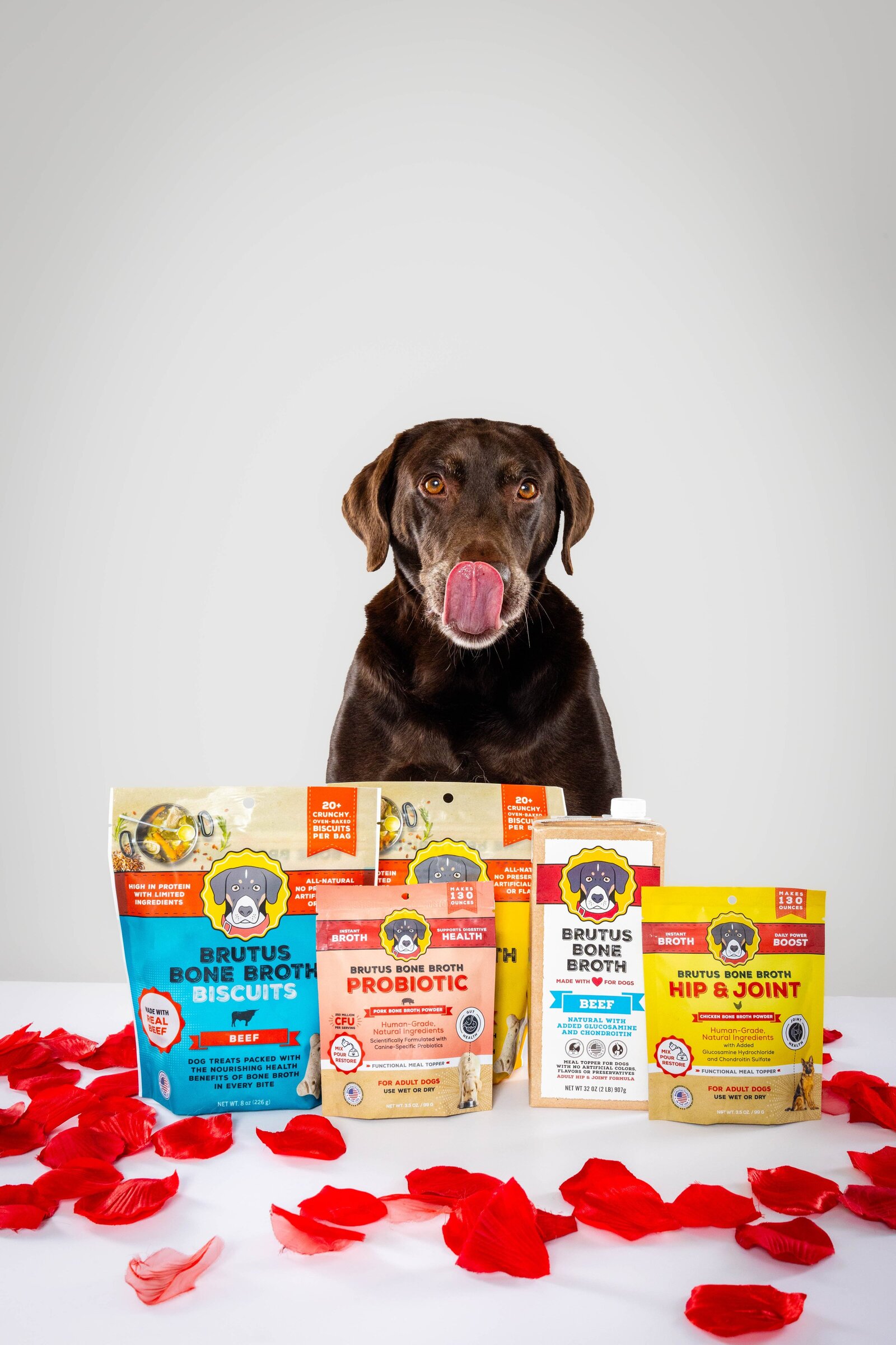 The Beloved Pup Photo Studios - Alabama Dog + Pet Photographer - Commercial Dog Photography 9