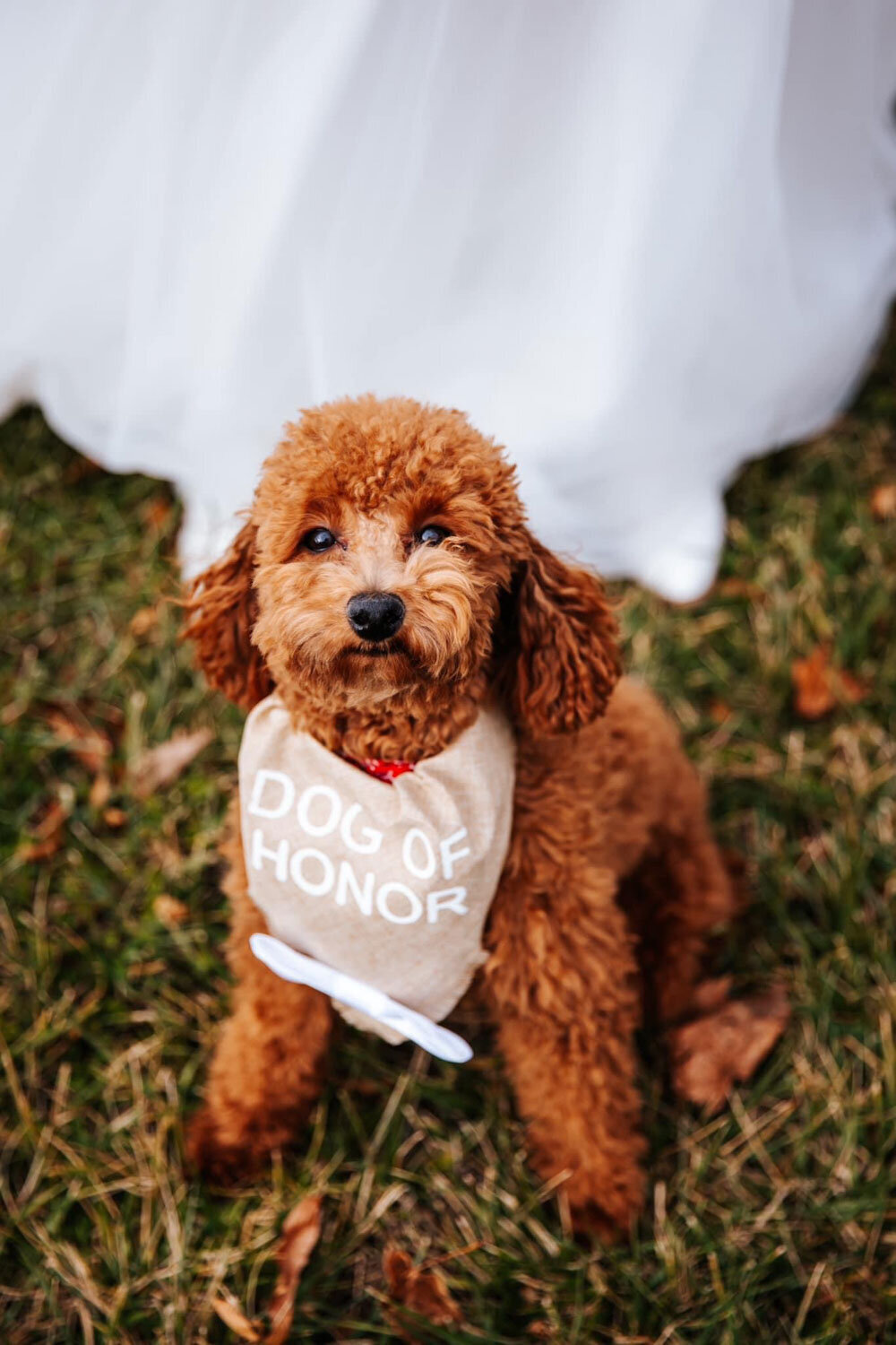 Hailey-and-Jaelin-THE-Photographer-Barn-wedding-venue-in-Indiana-25
