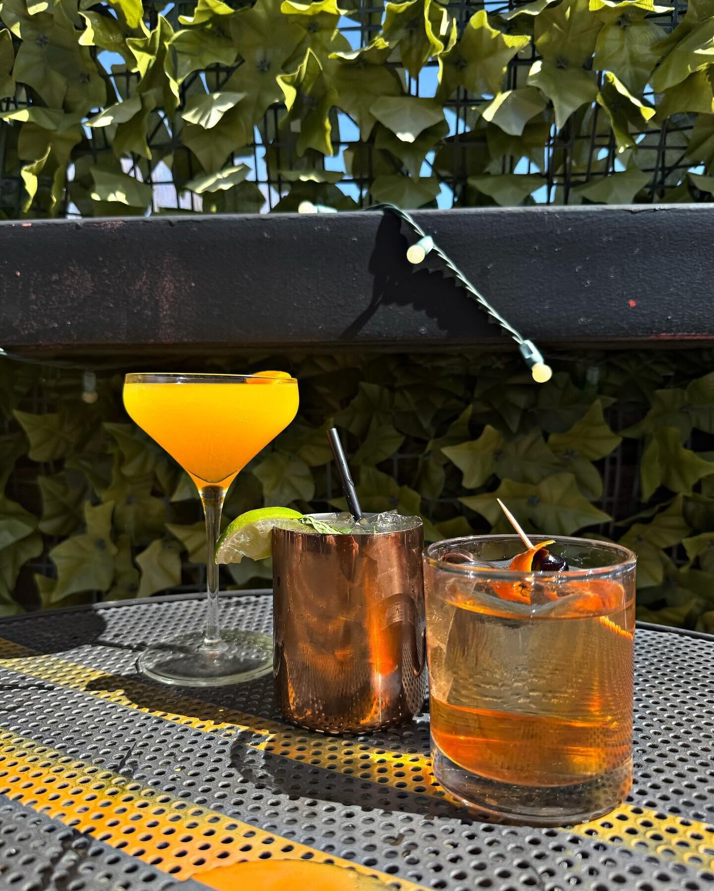 484903636_18316063951207384_368334677871180404_n