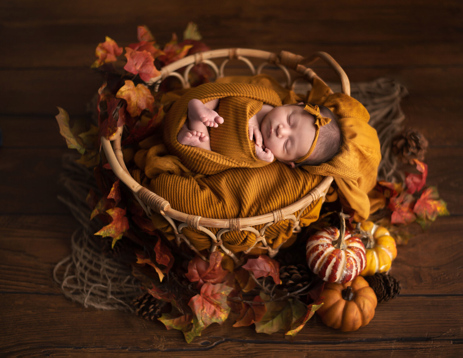 pumpkins, fall, mustard newborn baby photo utah county