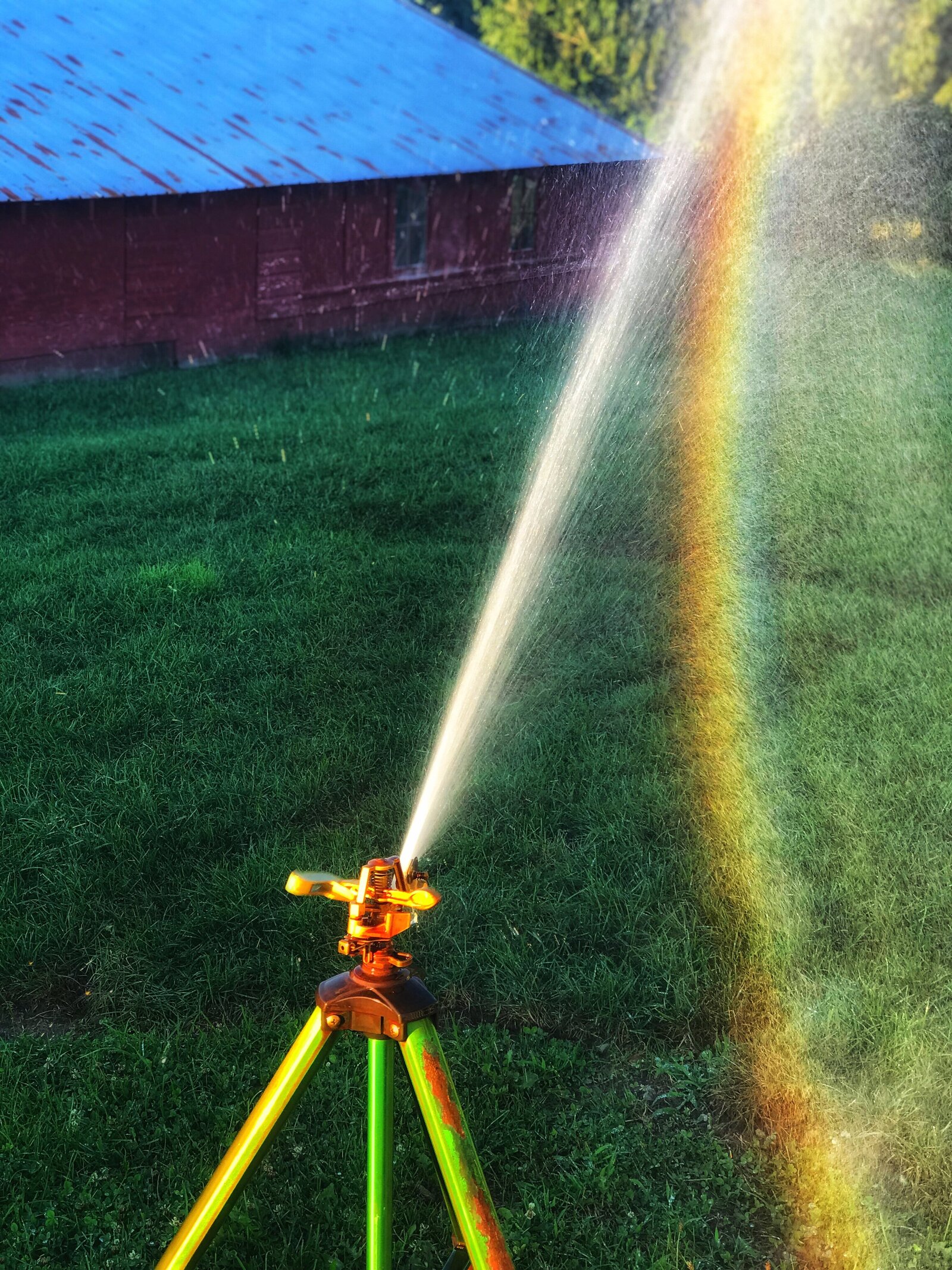 Always-Images-Sprinkler-Rainbow-Summer-Culver-Indiana