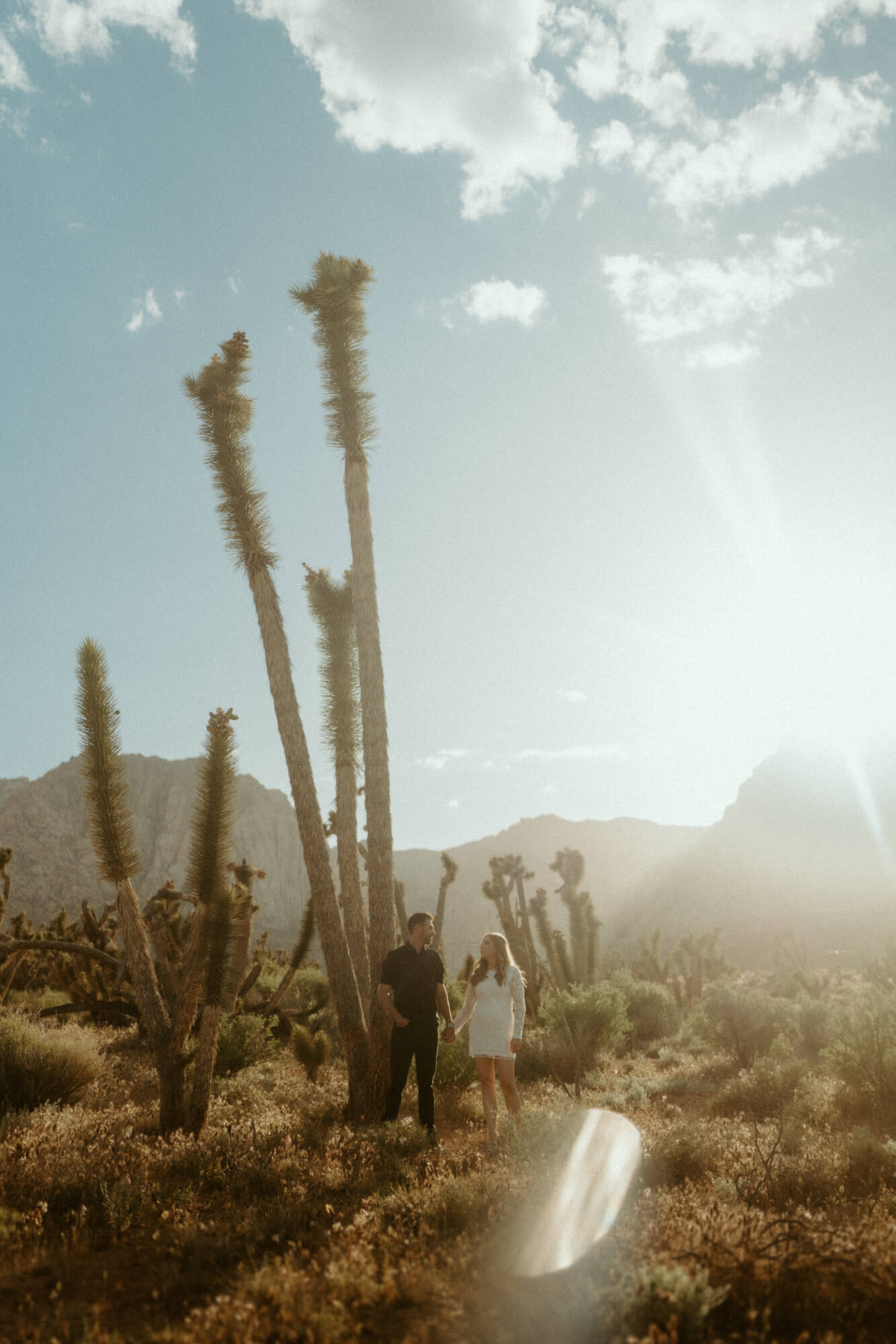 Las-Vegas-Desert-Engagement-Photographer-3