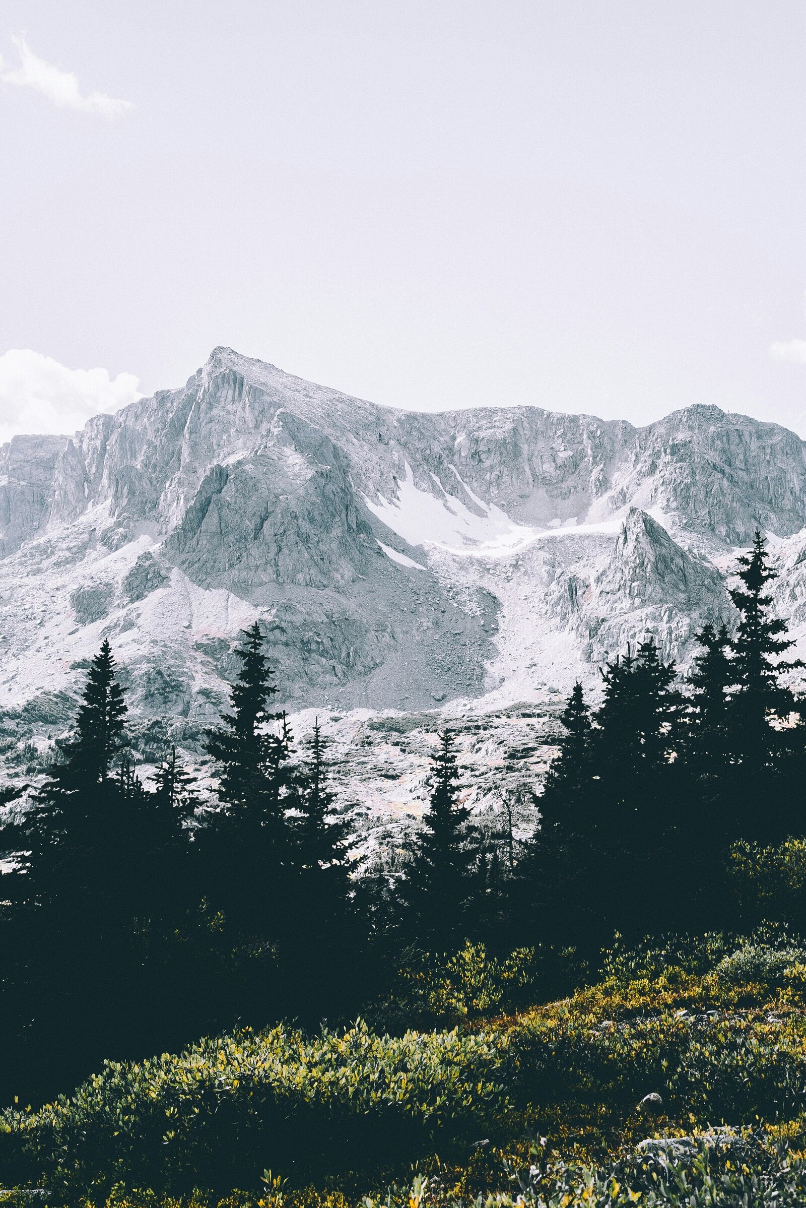 matthew-brodeur-__yDNYiGX-E-unsplash