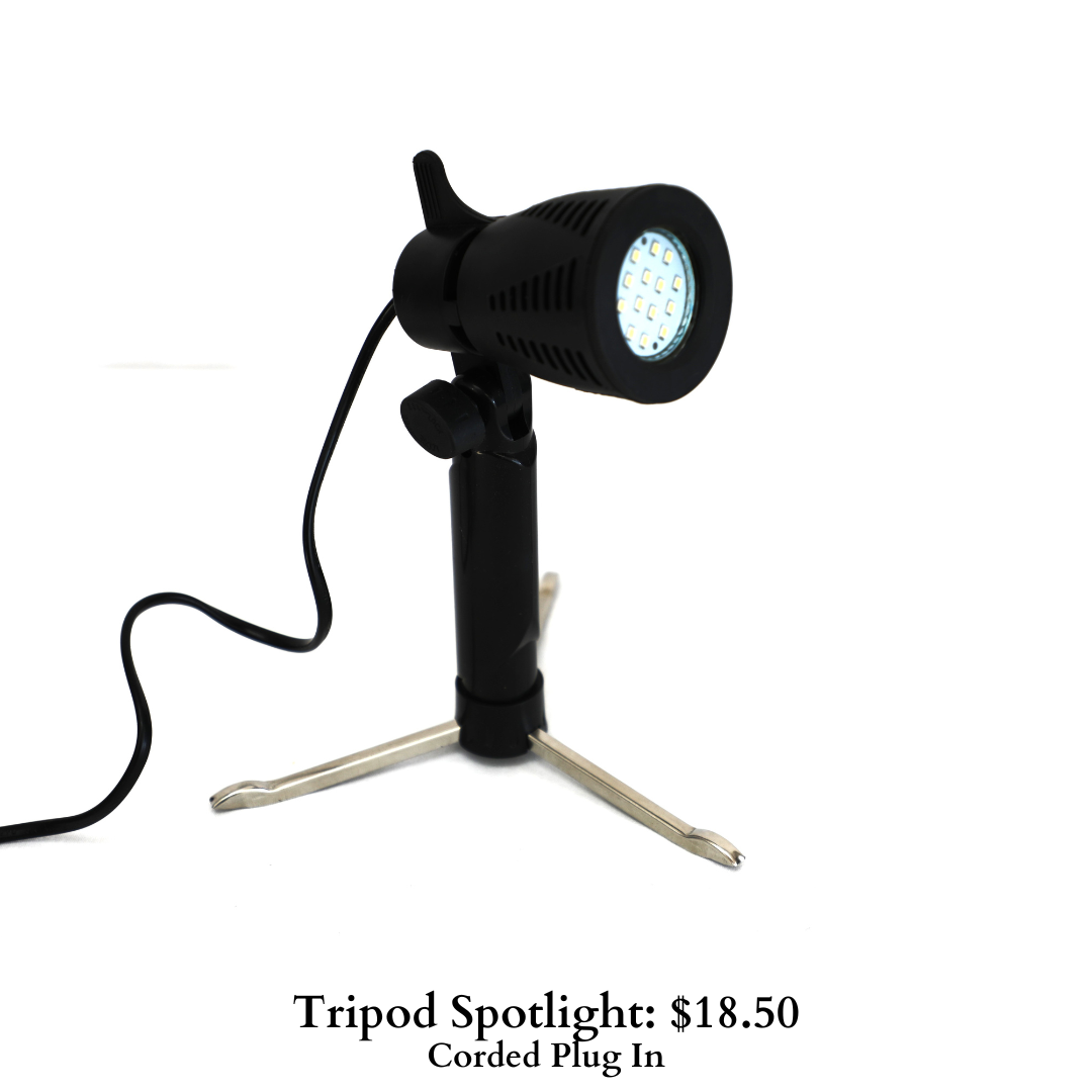 Tripod Spotlight-1044