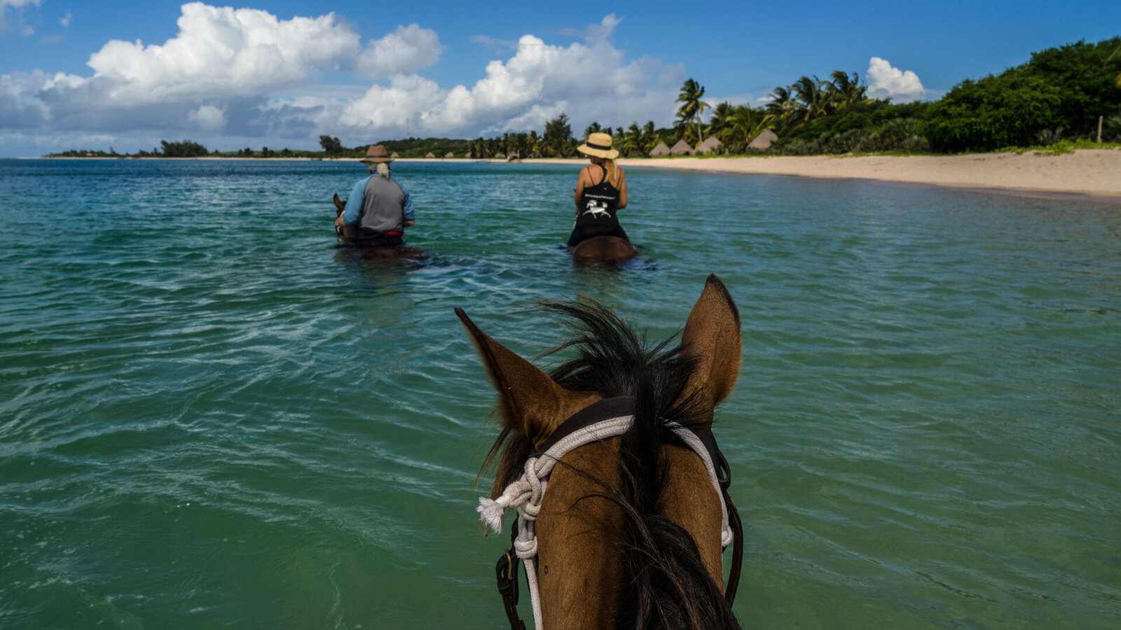 Swimming-with-Horses-Benguerra1
