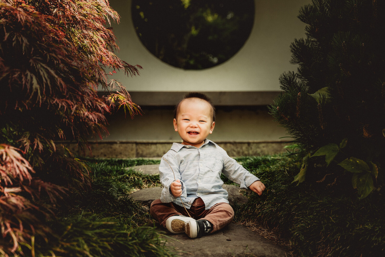 Papamoa-photographer-family-forest-babyboy-15-2