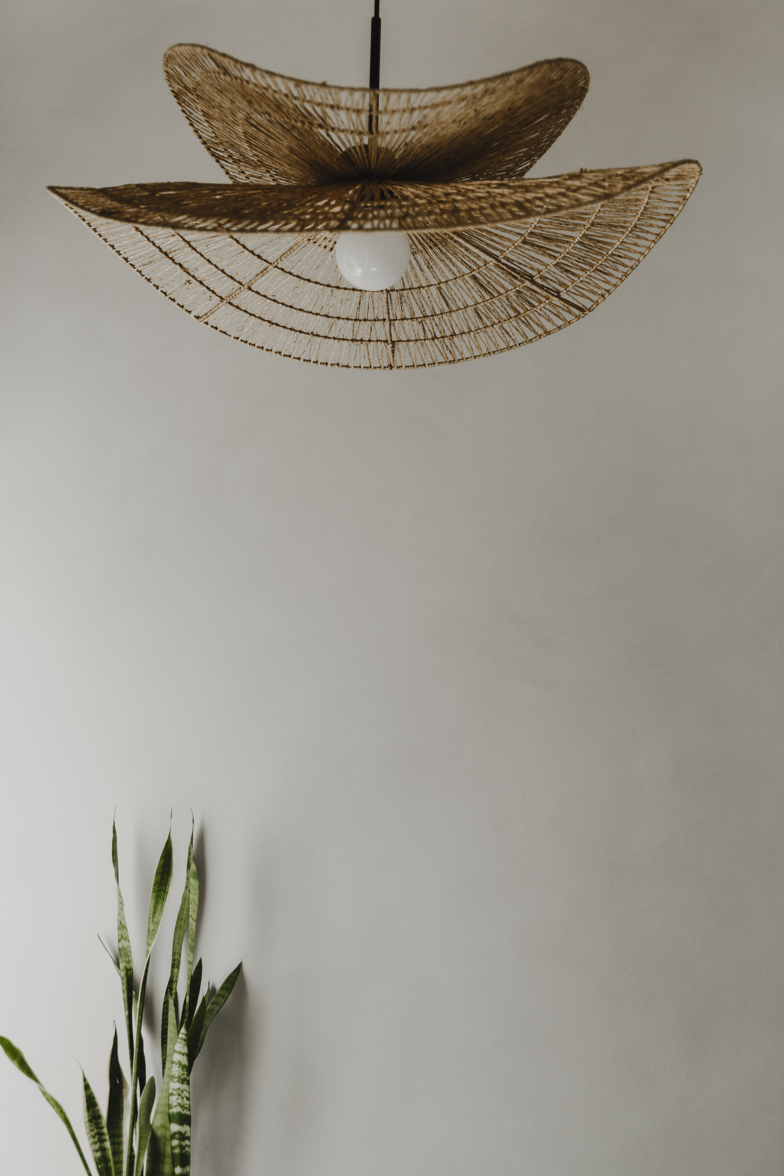 02092025_CurateSalon-1