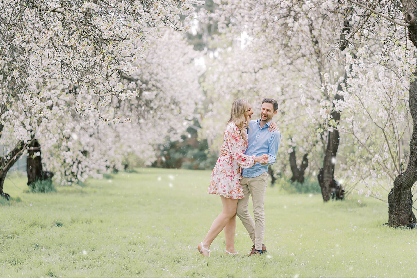 Couple dancing in Adelaide's scenic backdrop with our professional almond blossom photoshoot.