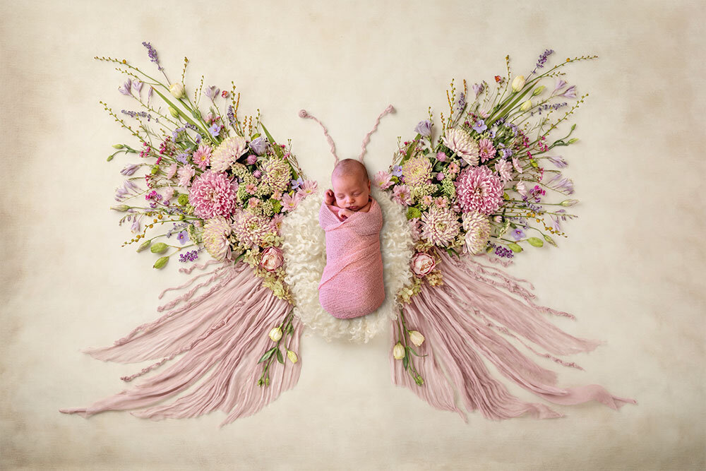 baby-butterfly-creative-unique-flowers-newborn-premier-denver-photographer-pink-fine-art