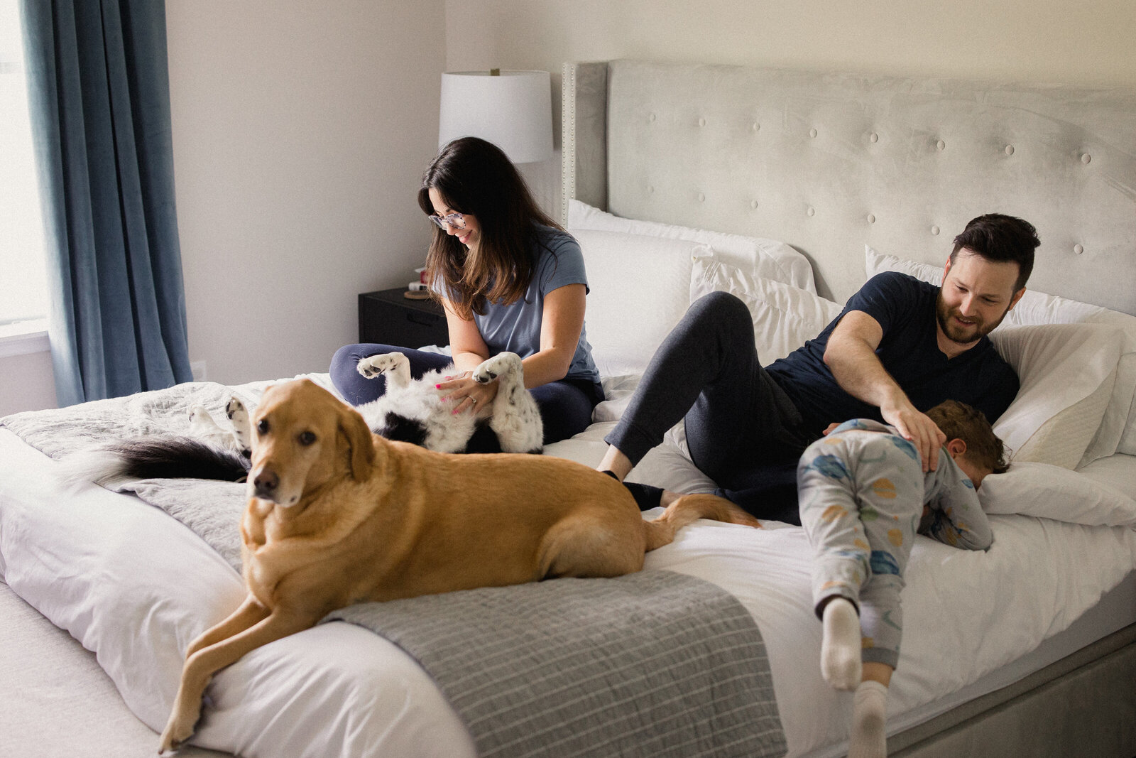 Family snuggles in bed with their two dogs