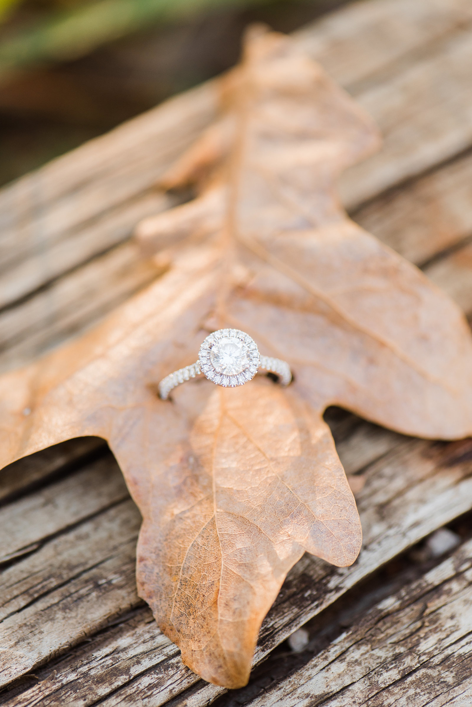 katihewittphoto_taylor+chad-45