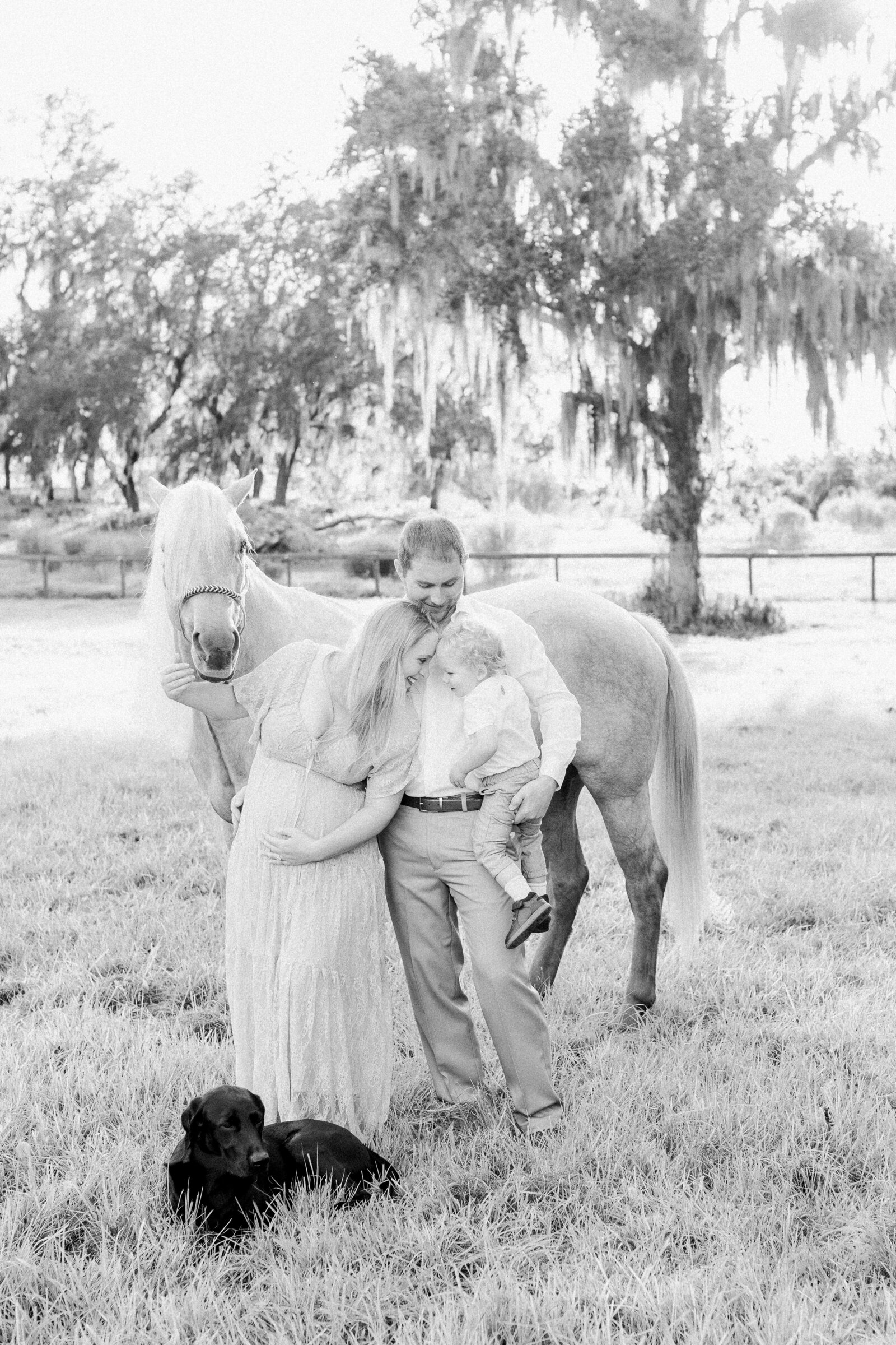 Black and white photo of pregnant mom, and dad holding two year old while they smile at each other and snuggle close, next to their palomino horse on a horse farm by NH newborn photographer Fieldstone Studio.